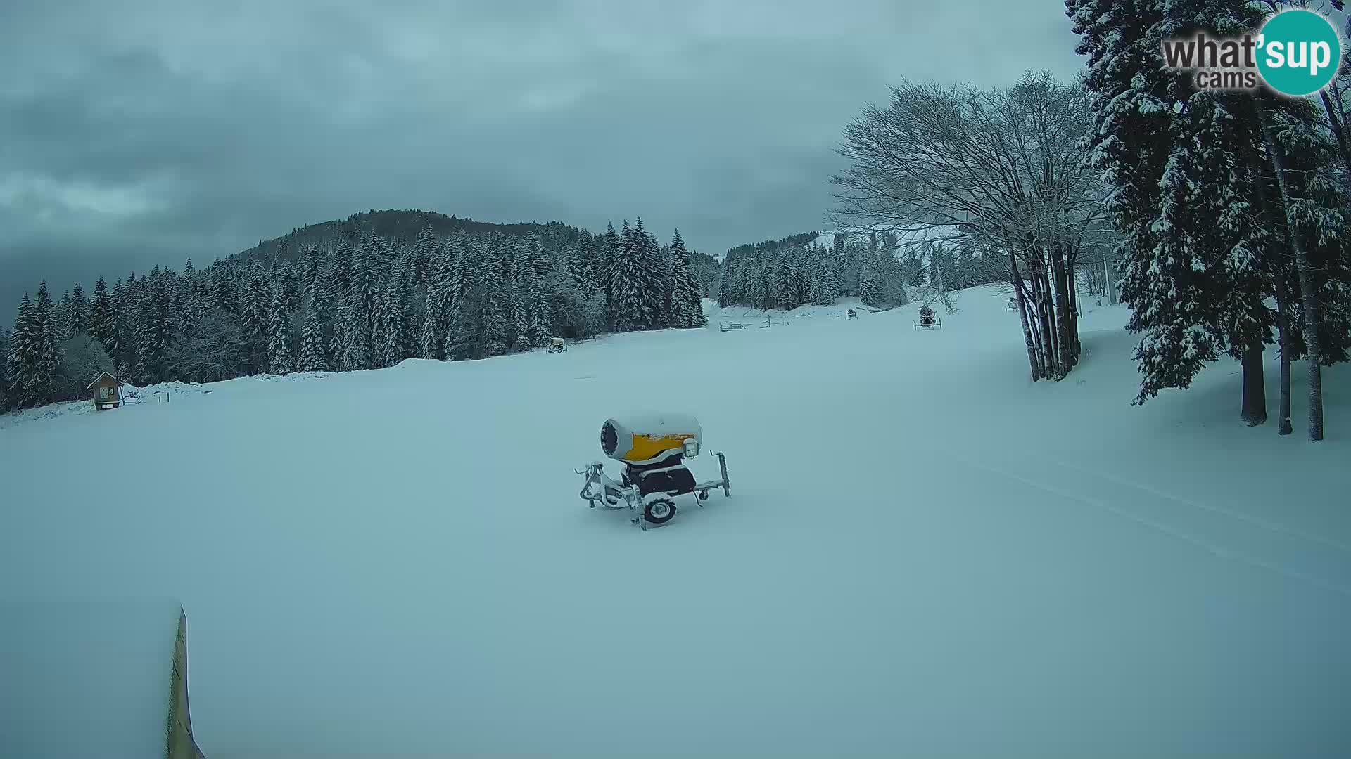 Webcam en vivo Estación de esquí de Sorica – Sorška planina – Eslovenia