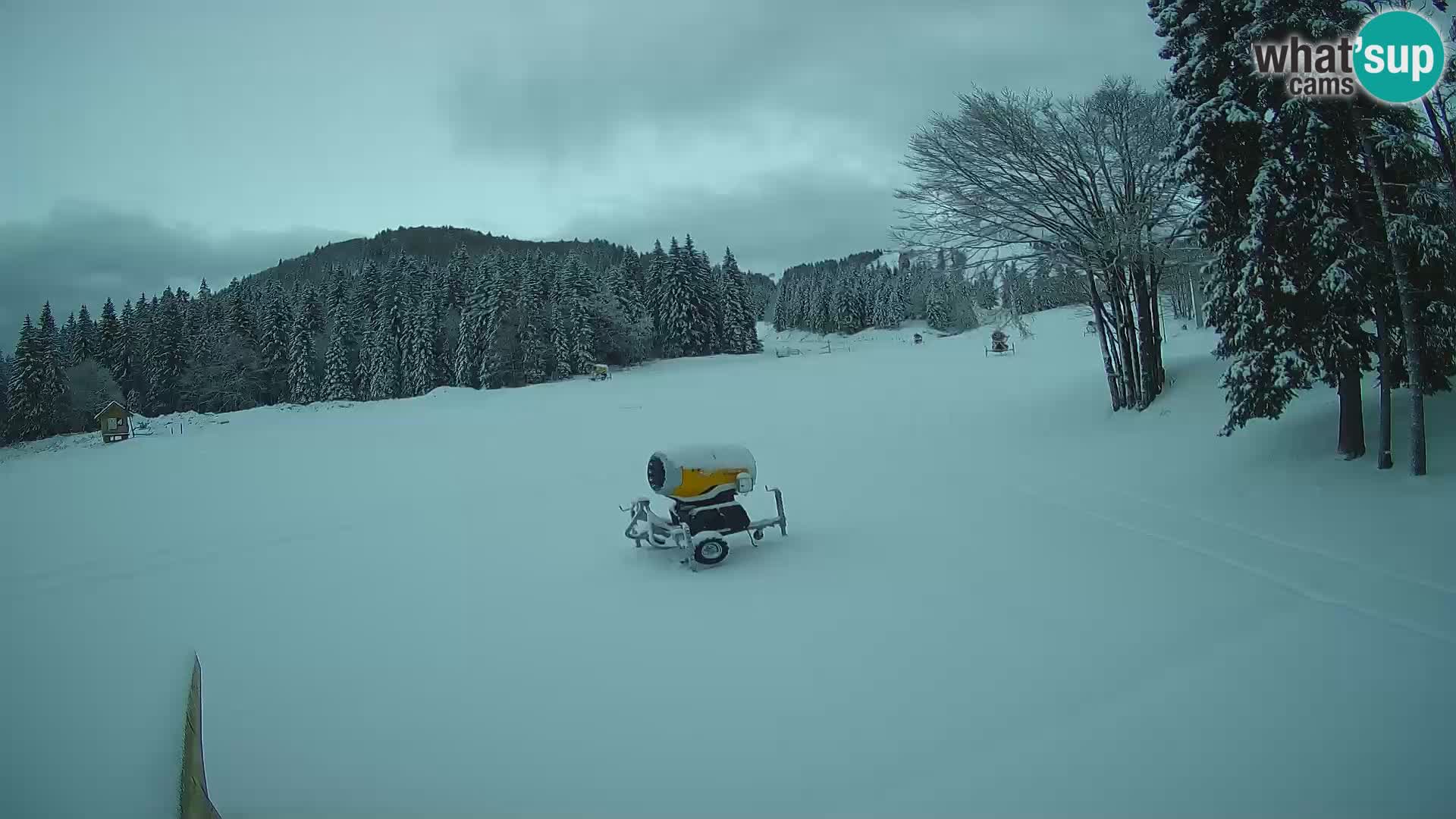 Smučišče Sorica spletna kamera – Sorška planina