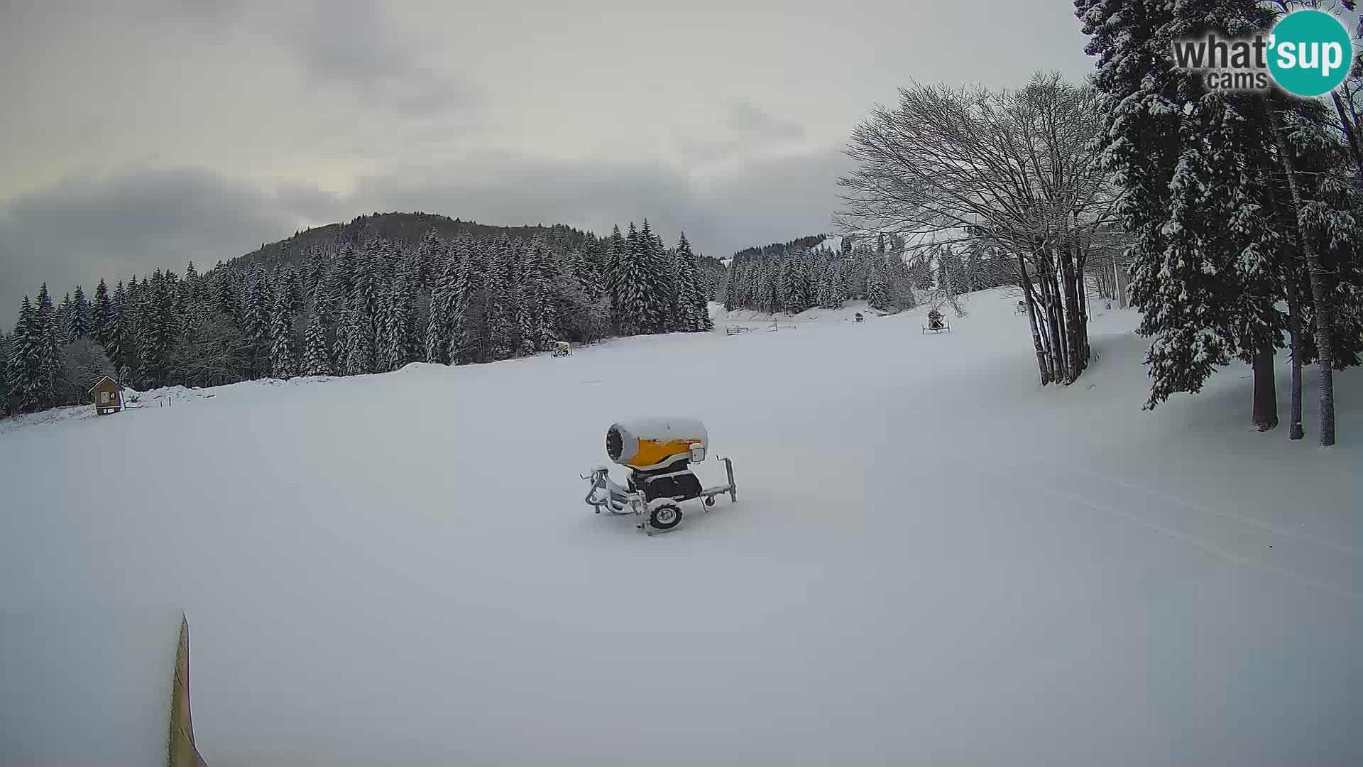 Webcam en vivo Estación de esquí de Sorica – Sorška planina – Eslovenia