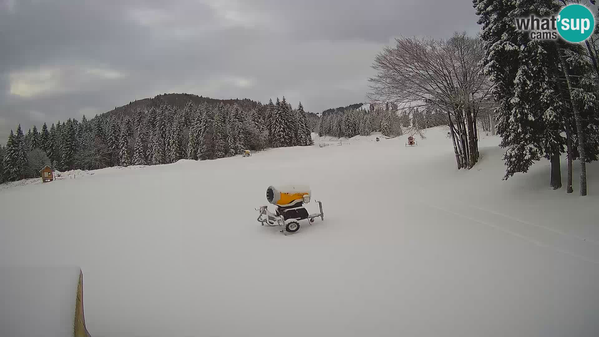 Smučišče Sorica spletna kamera – Sorška planina