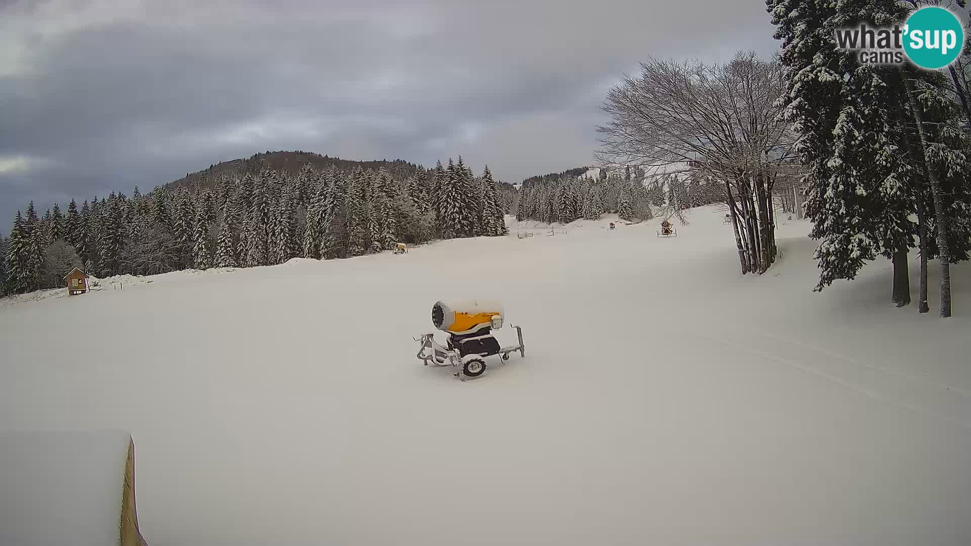 Live Webcam Skigebiet Sorica – Sorška planina – Slowenien