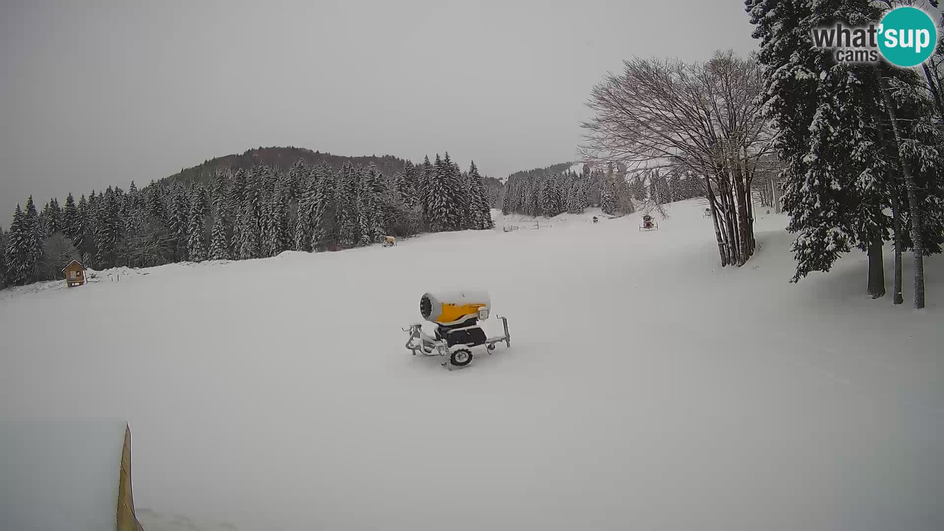 Smučišče Sorica spletna kamera – Sorška planina