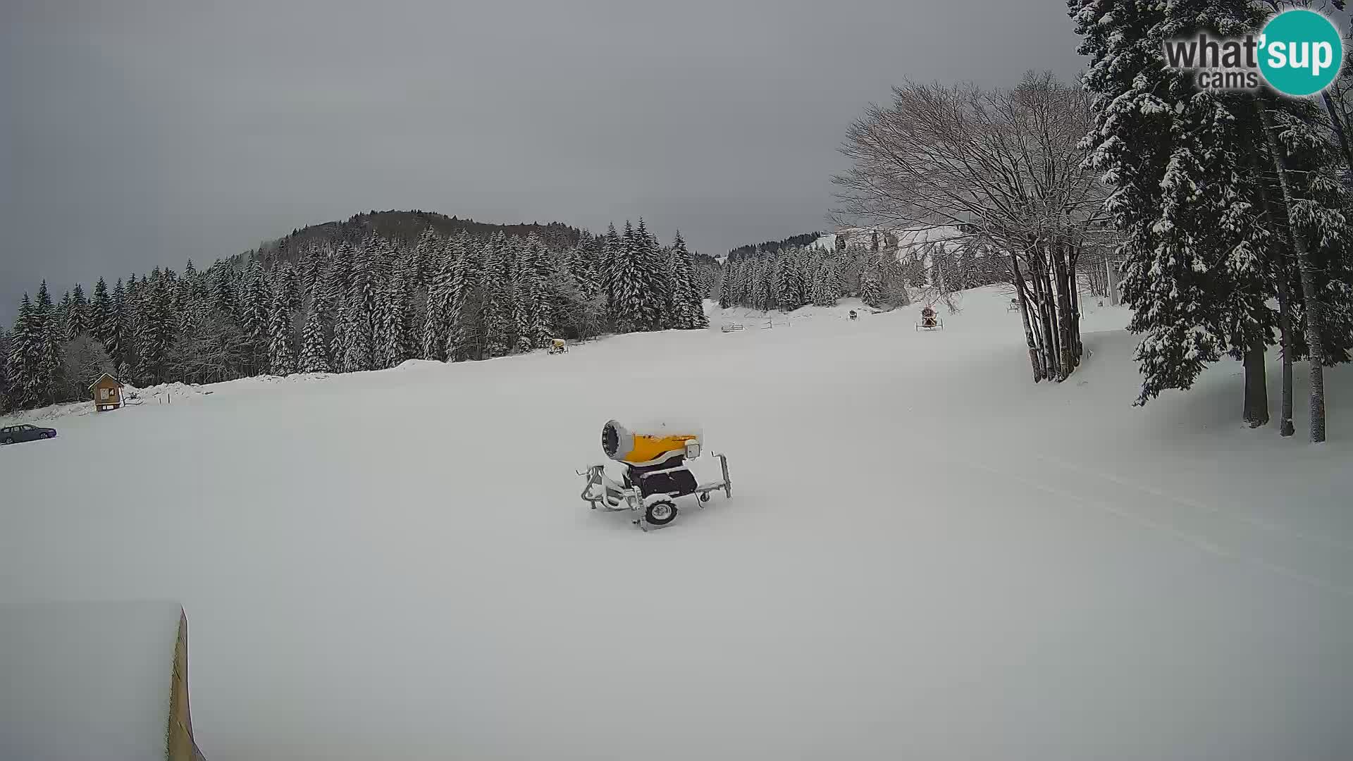 Soriška Planina – Slatnik – Sorica Webcam