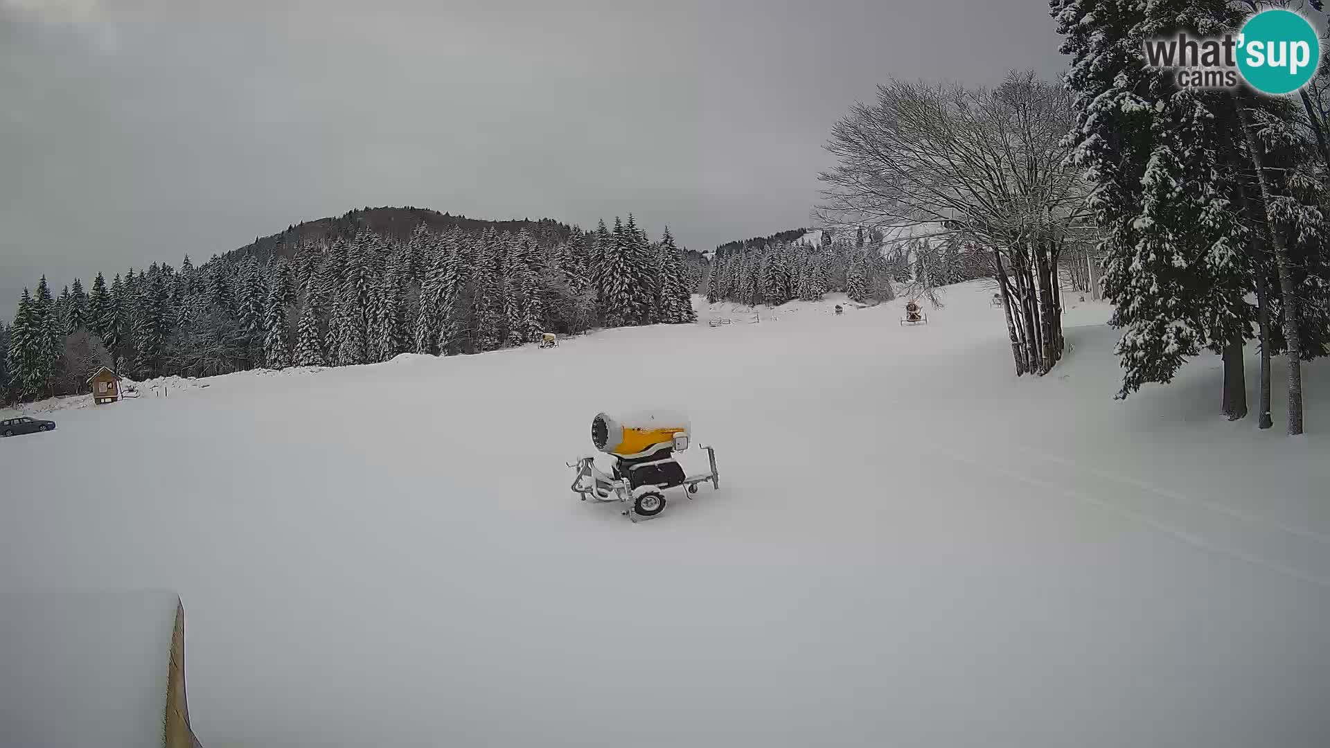 Live Webcam Stazione sciistica di Sorica – Sorška planina – Slovenia