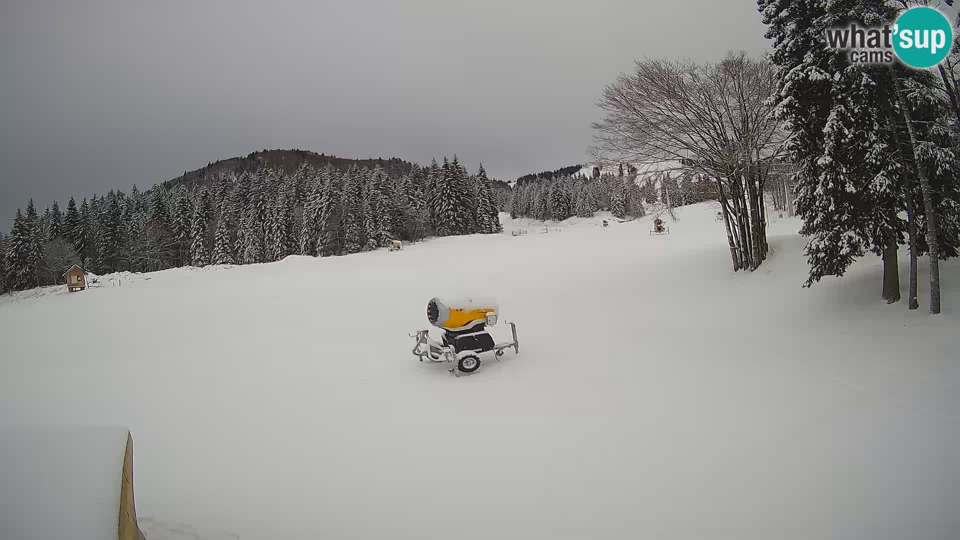 Web kamera uživo Skijalište Sorica – Sorška planina – Slovenija