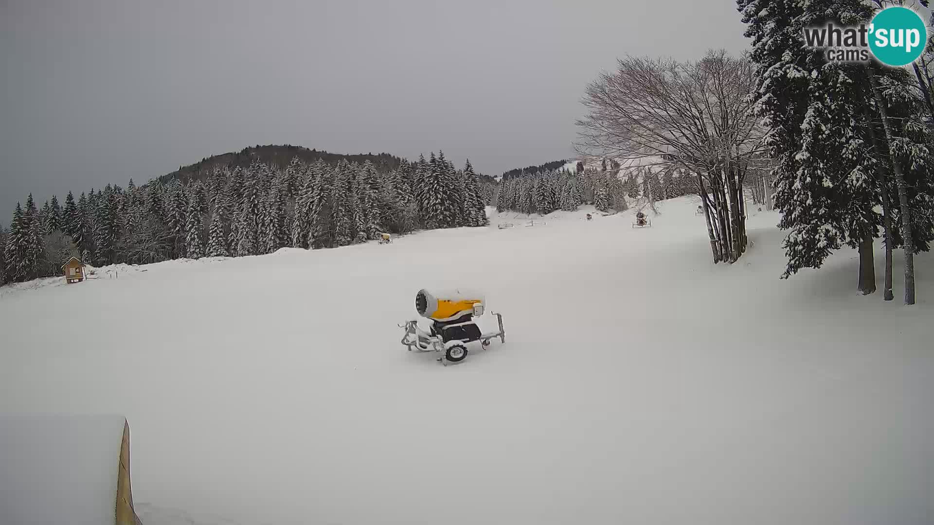 Smučišče Sorica spletna kamera – Sorška planina