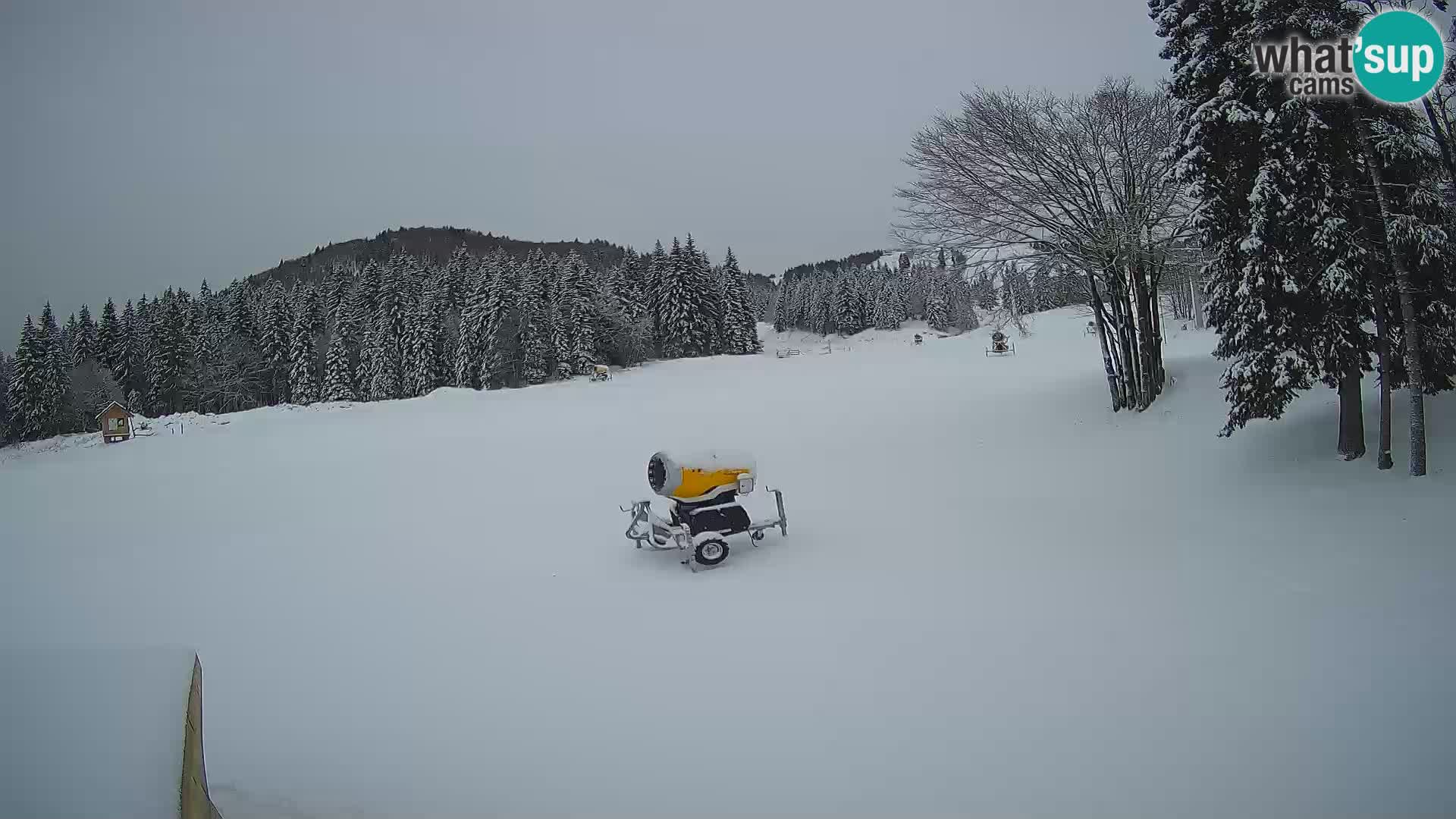 Live Webcam Skigebiet Sorica – Sorška planina – Slowenien