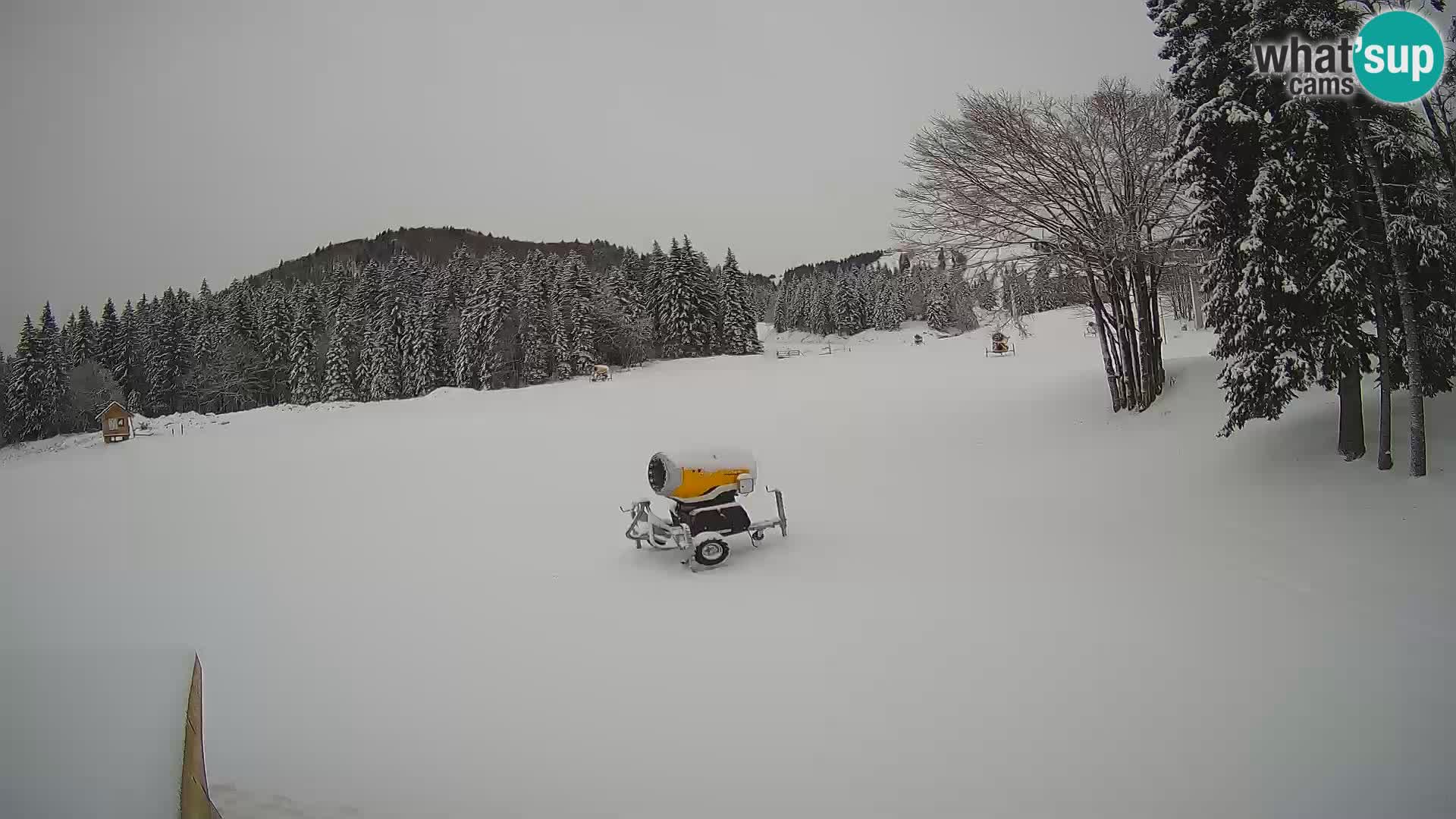 Web kamera uživo Skijalište Sorica – Sorška planina – Slovenija