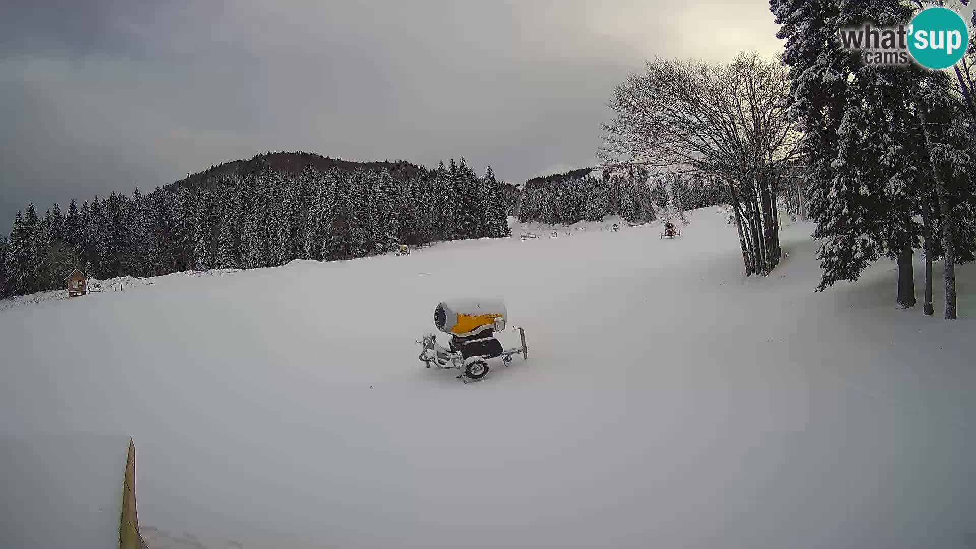 Live Webcam Stazione sciistica di Sorica – Sorška planina – Slovenia