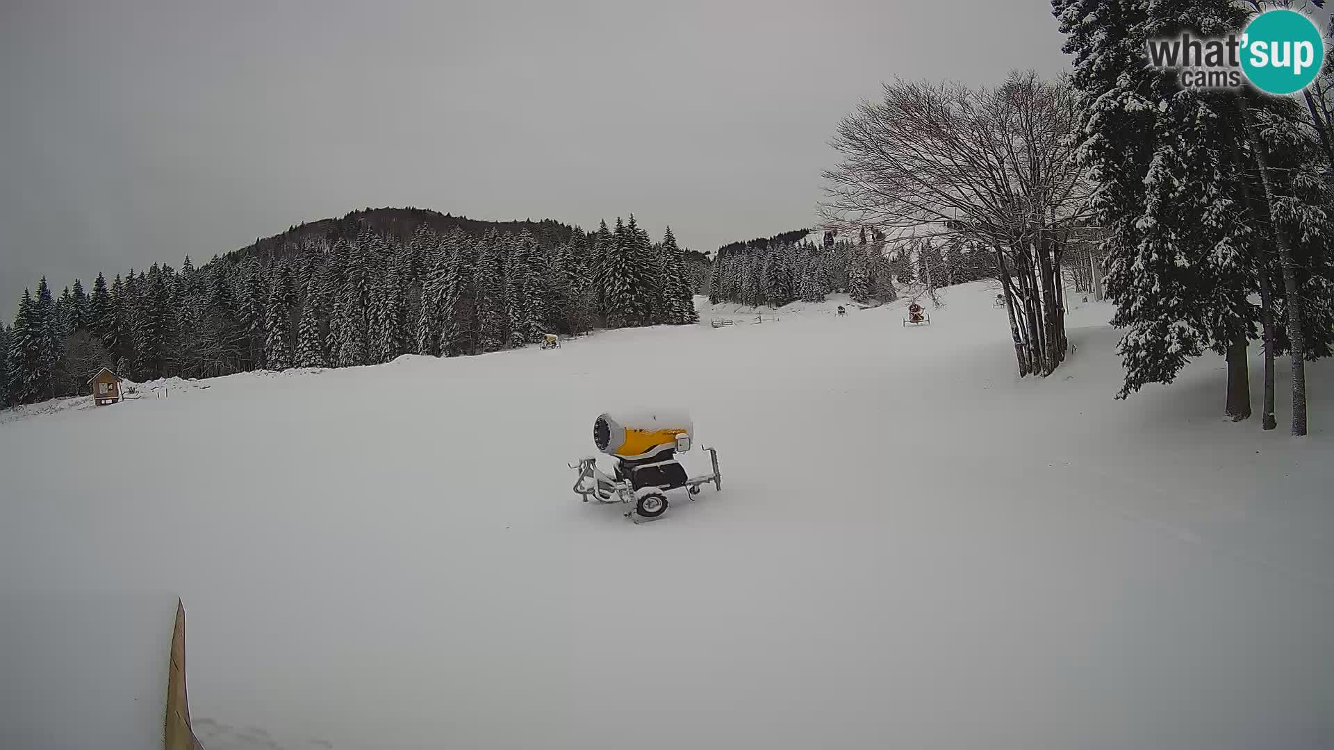 Smučišče Sorica spletna kamera – Sorška planina