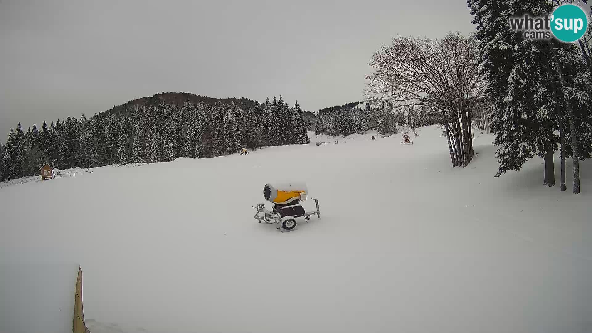 Soriška Planina – uspenjača Slatnik – Sorica Web Kamera