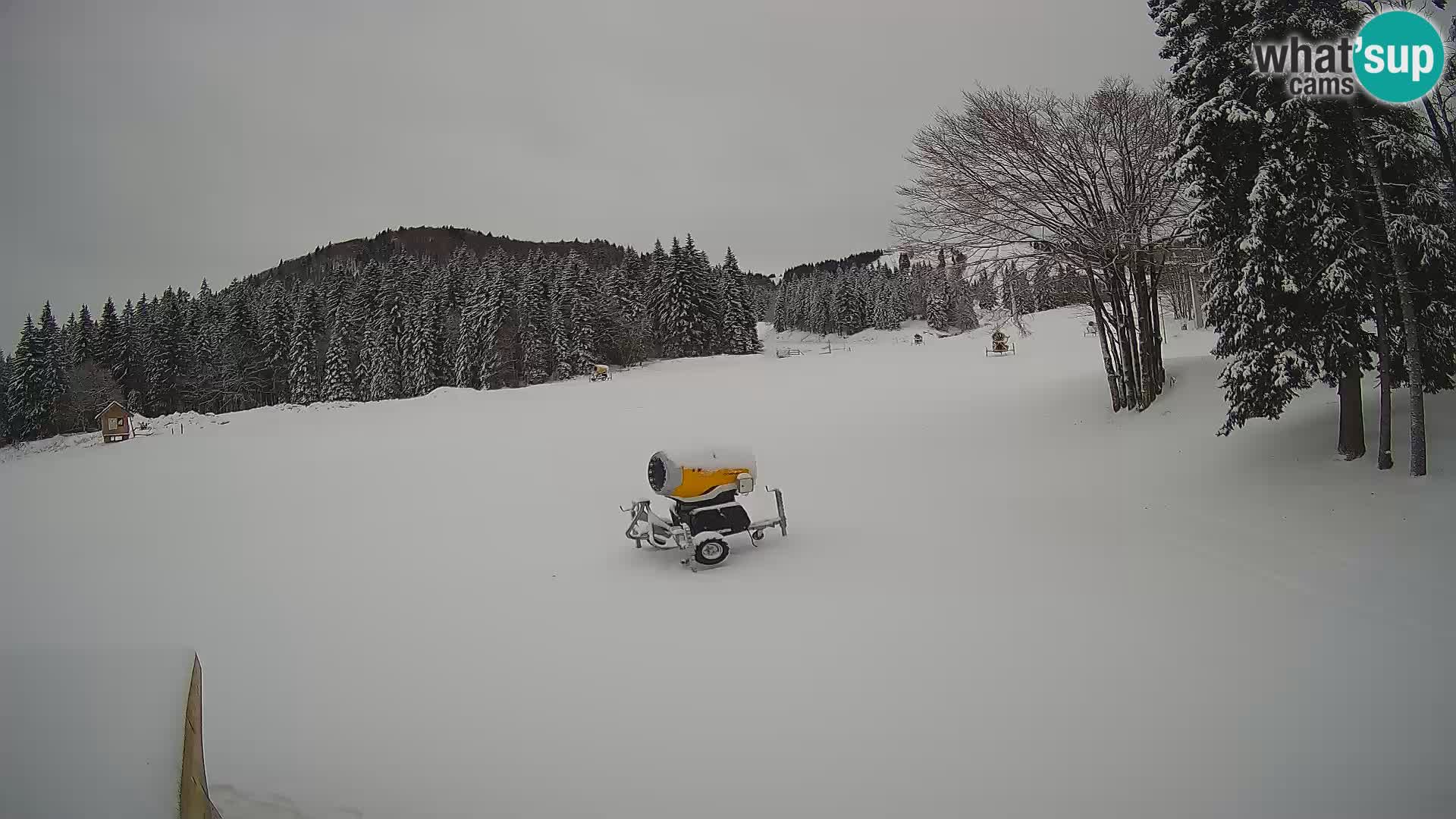 Smučišče Sorica spletna kamera – Sorška planina