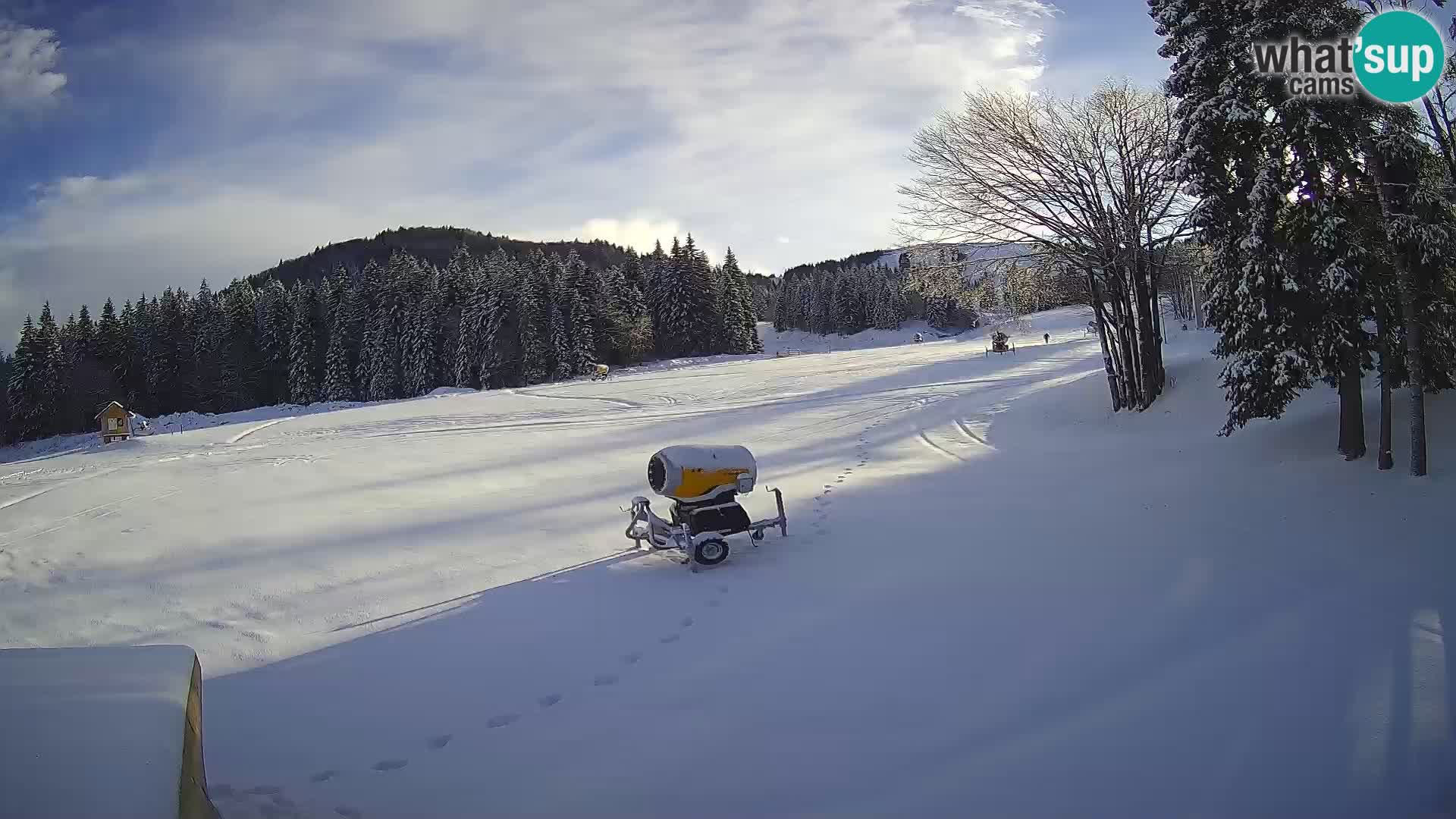 Smučišče Sorica spletna kamera – Sorška planina