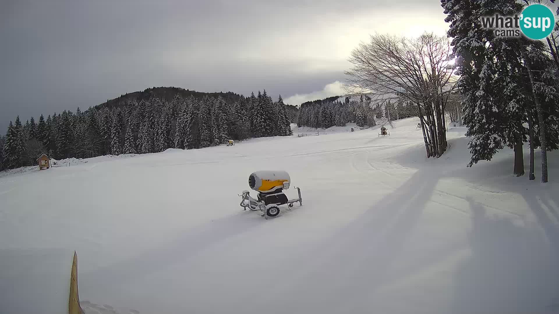 Webcam en vivo Estación de esquí de Sorica – Sorška planina – Eslovenia