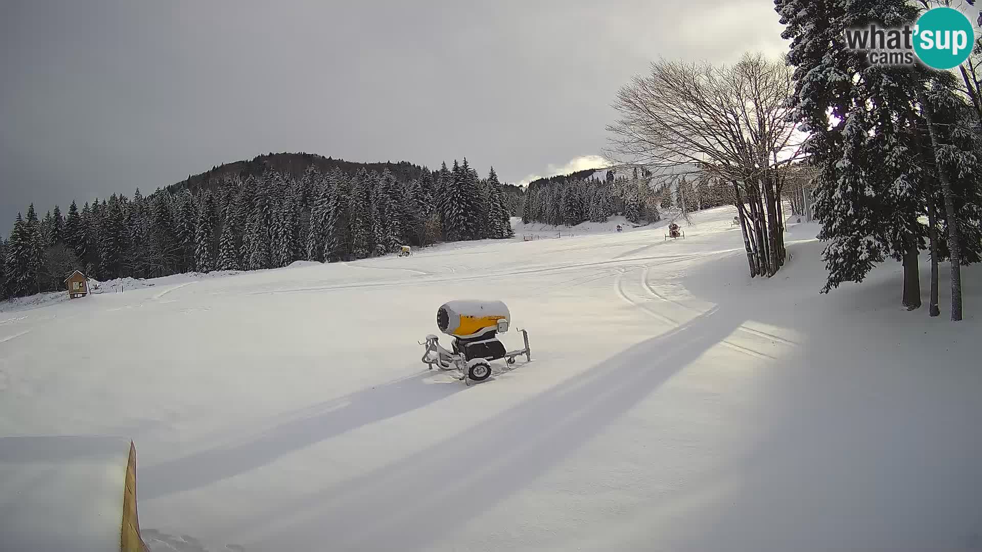 Live Webcam Skigebiet Sorica – Sorška planina – Slowenien