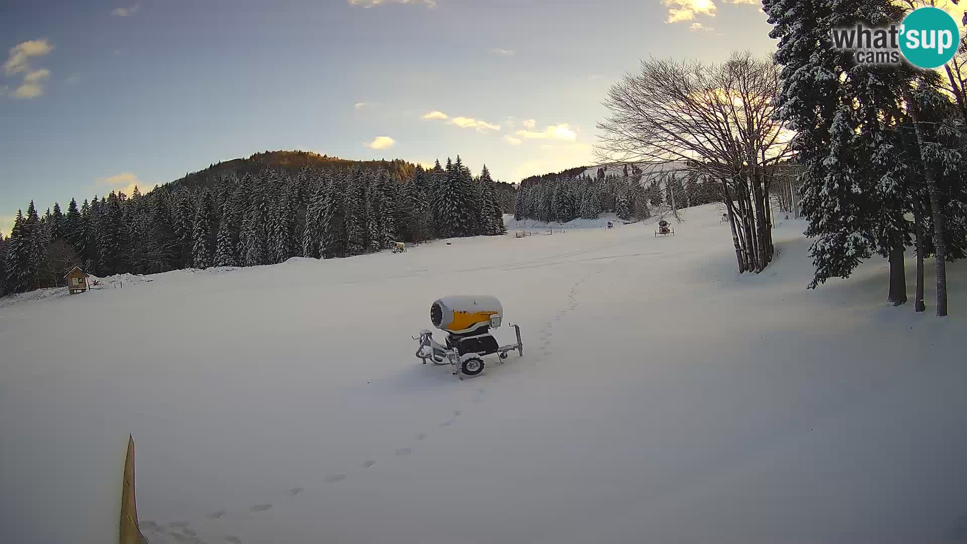 Soriška Planina – Slatnik – Sorica Webcam