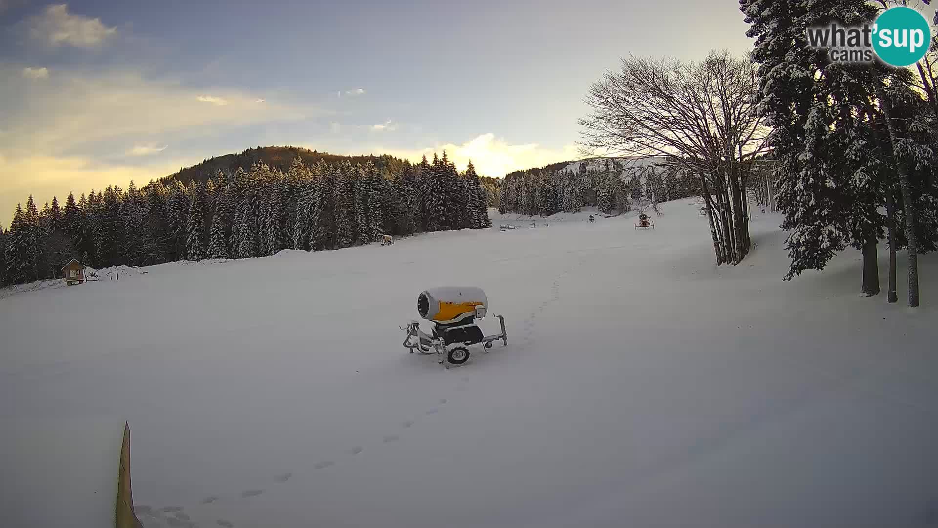 Smučišče Sorica spletna kamera – Sorška planina