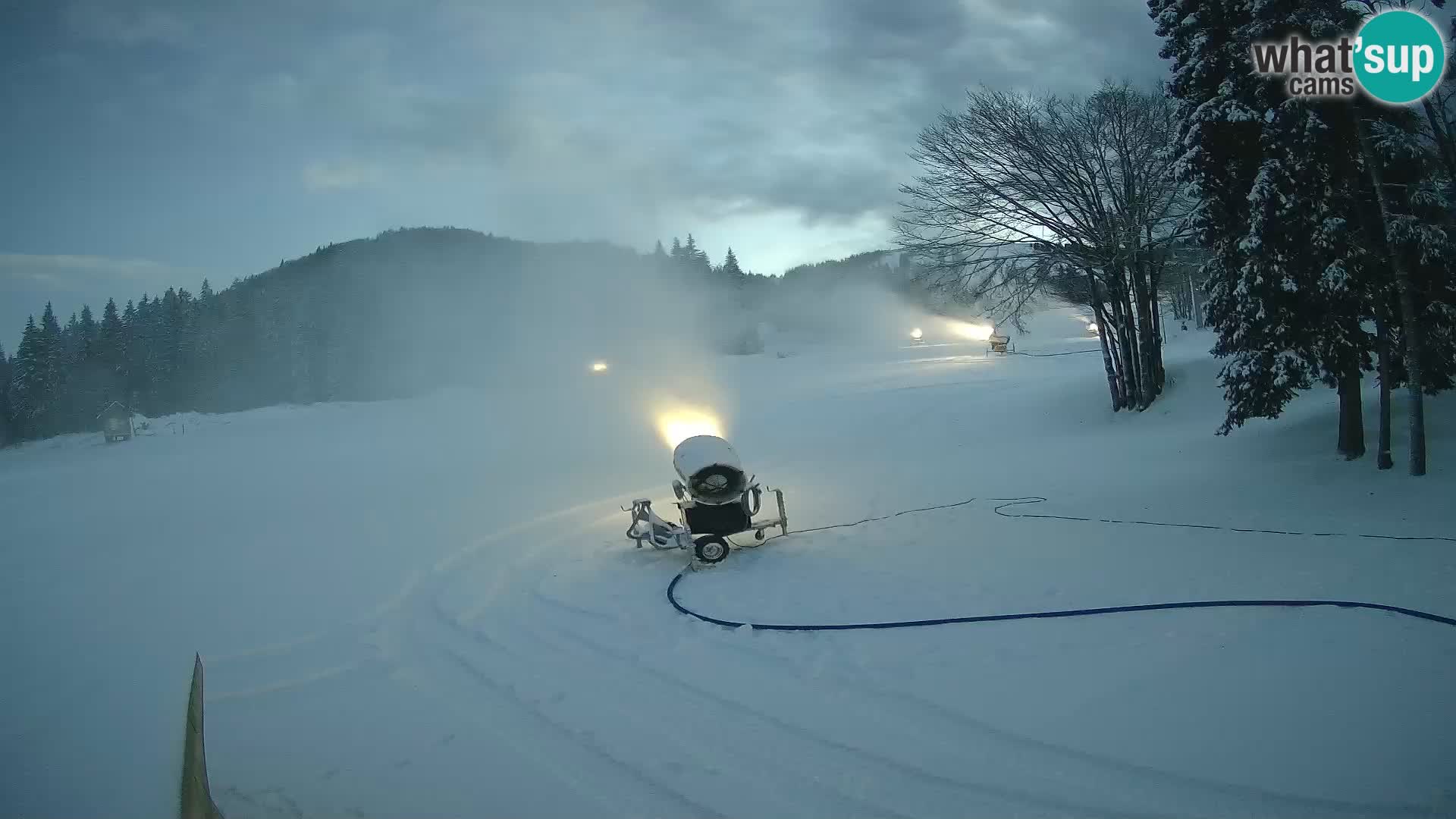 Soriška Planina – Slatnik – Sorica en vivo