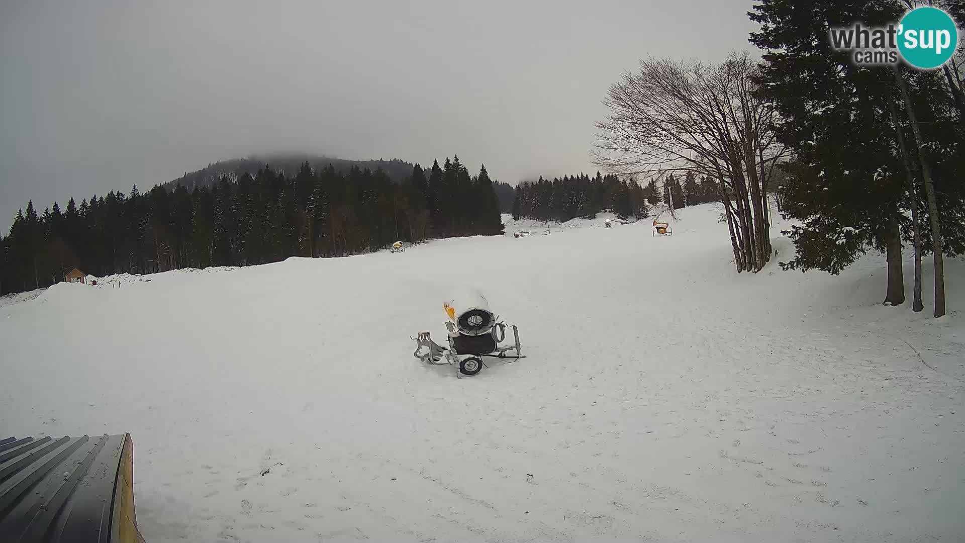 Smučišče Sorica spletna kamera – Sorška planina