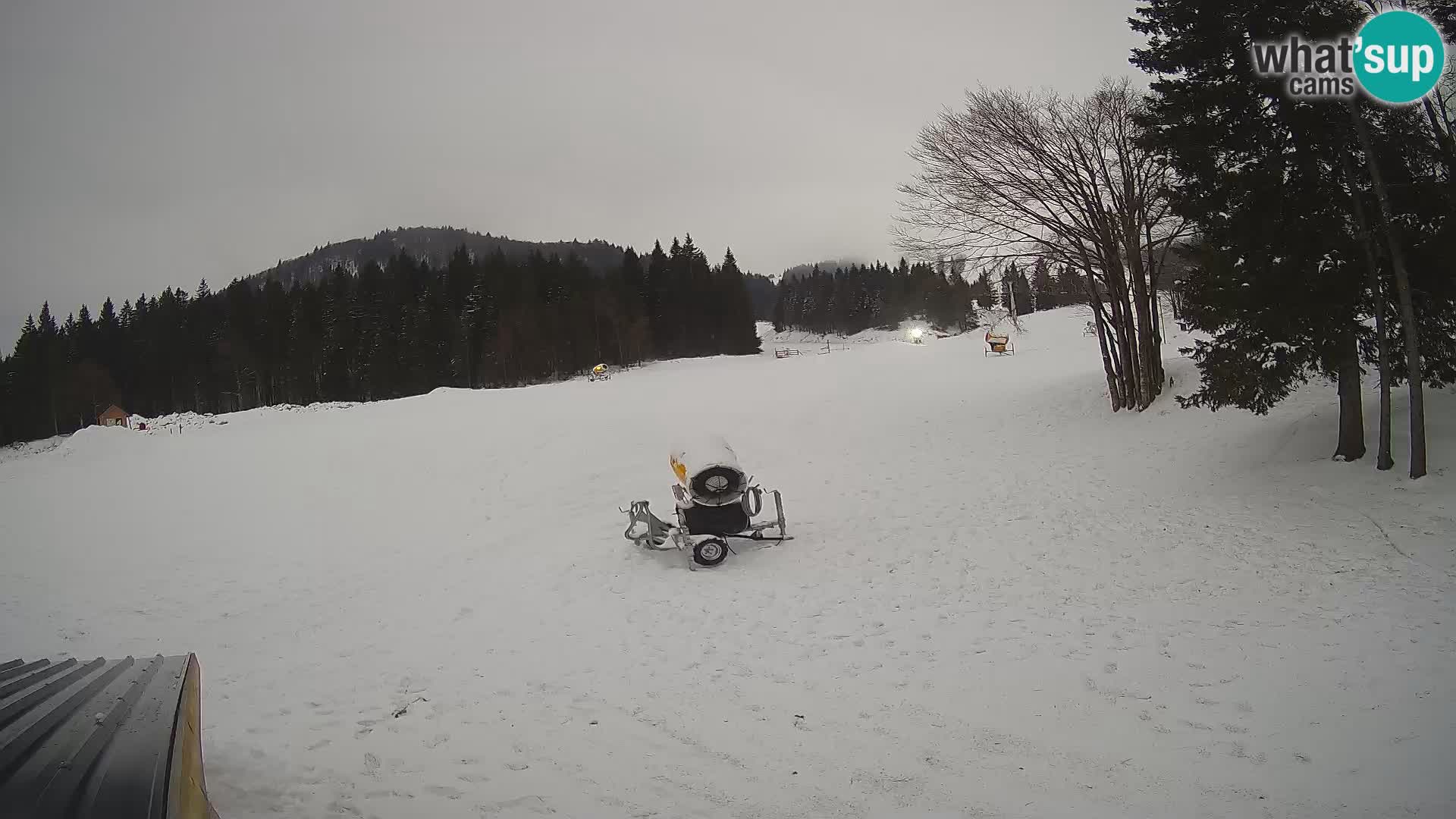 Soriška Planina – Slatnik – Sorica Webcam