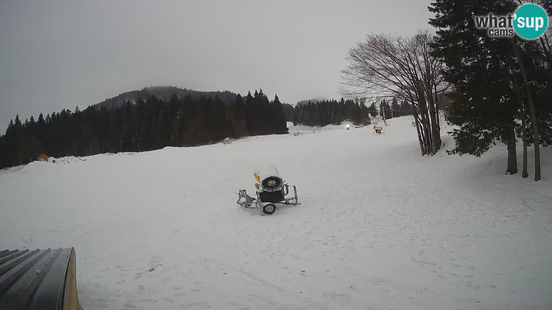 Live Webcam Stazione sciistica di Sorica – Sorška planina – Slovenia