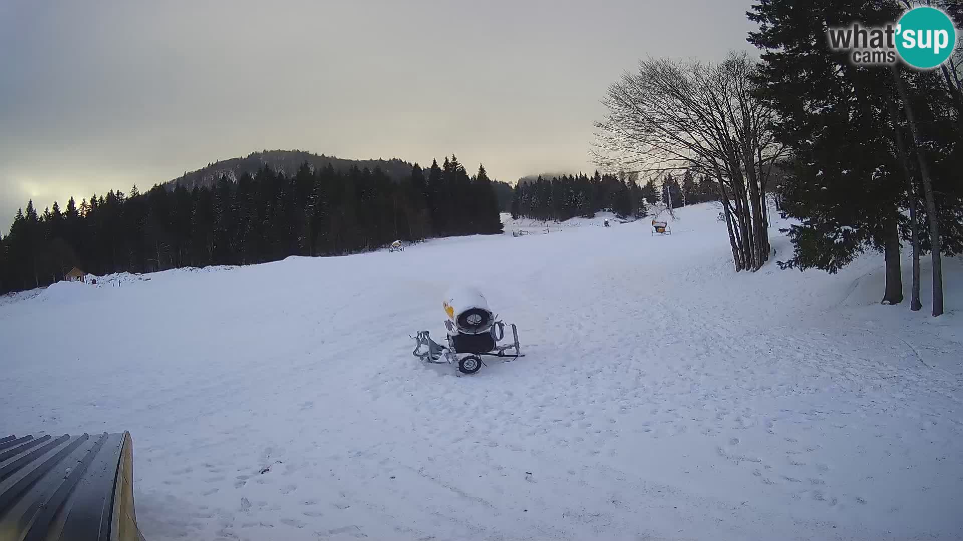 Smučišče Sorica spletna kamera – Sorška planina