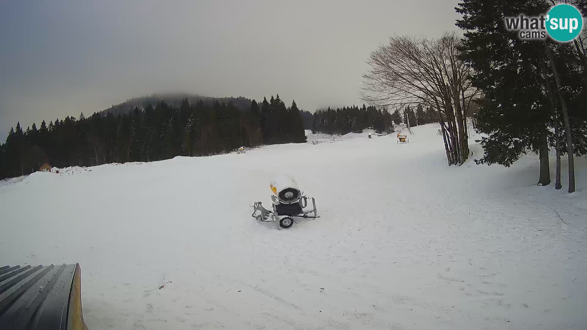 Live Webcam Skigebiet Sorica – Sorška planina – Slowenien