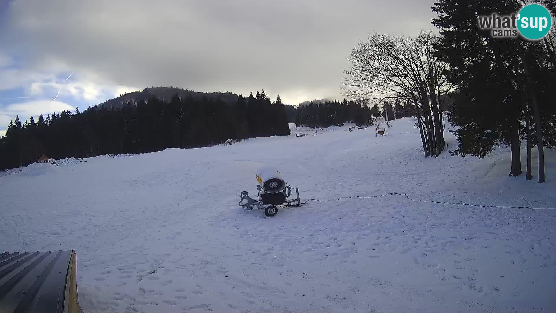 Soriška Planina – Slatnik – Sorica Webcam