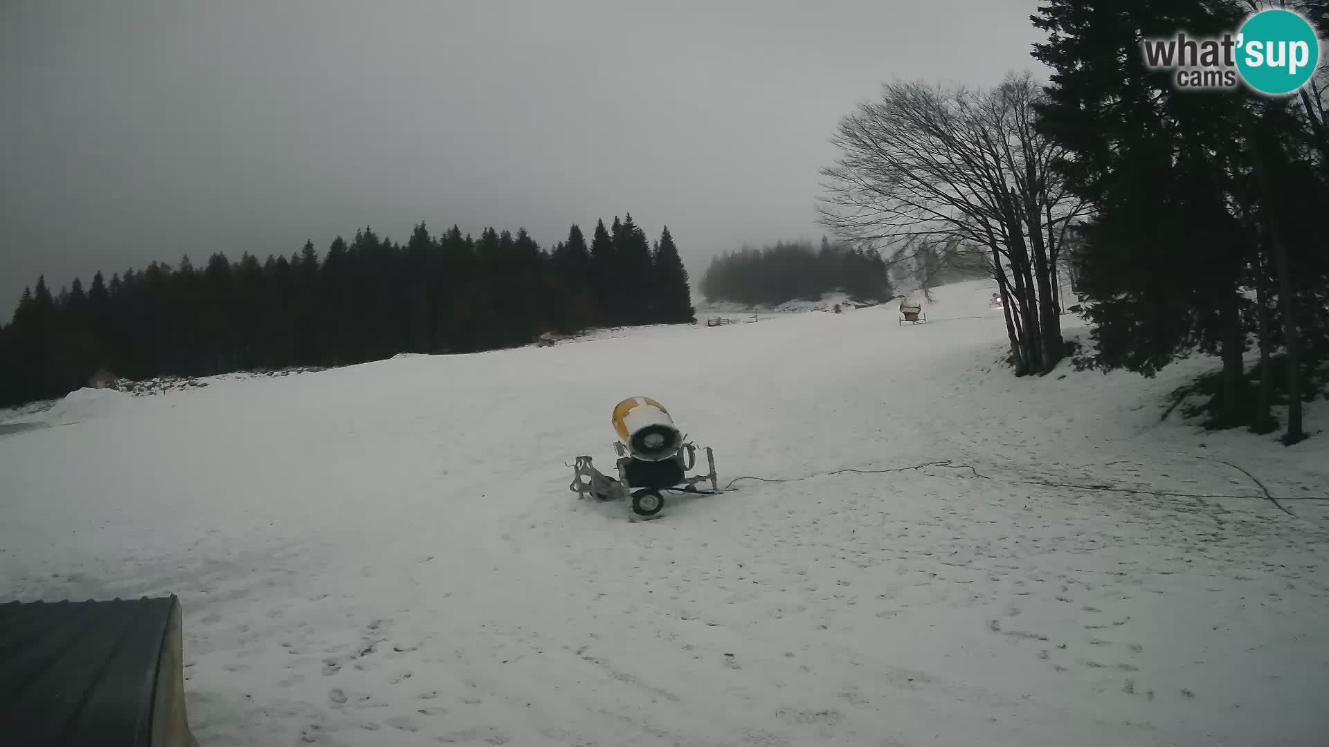 Smučišče Sorica spletna kamera – Sorška planina