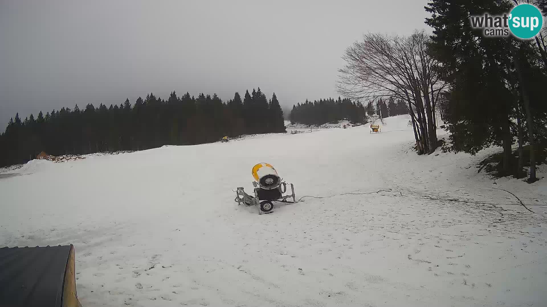 Live Webcam Skigebiet Sorica – Sorška planina – Slowenien