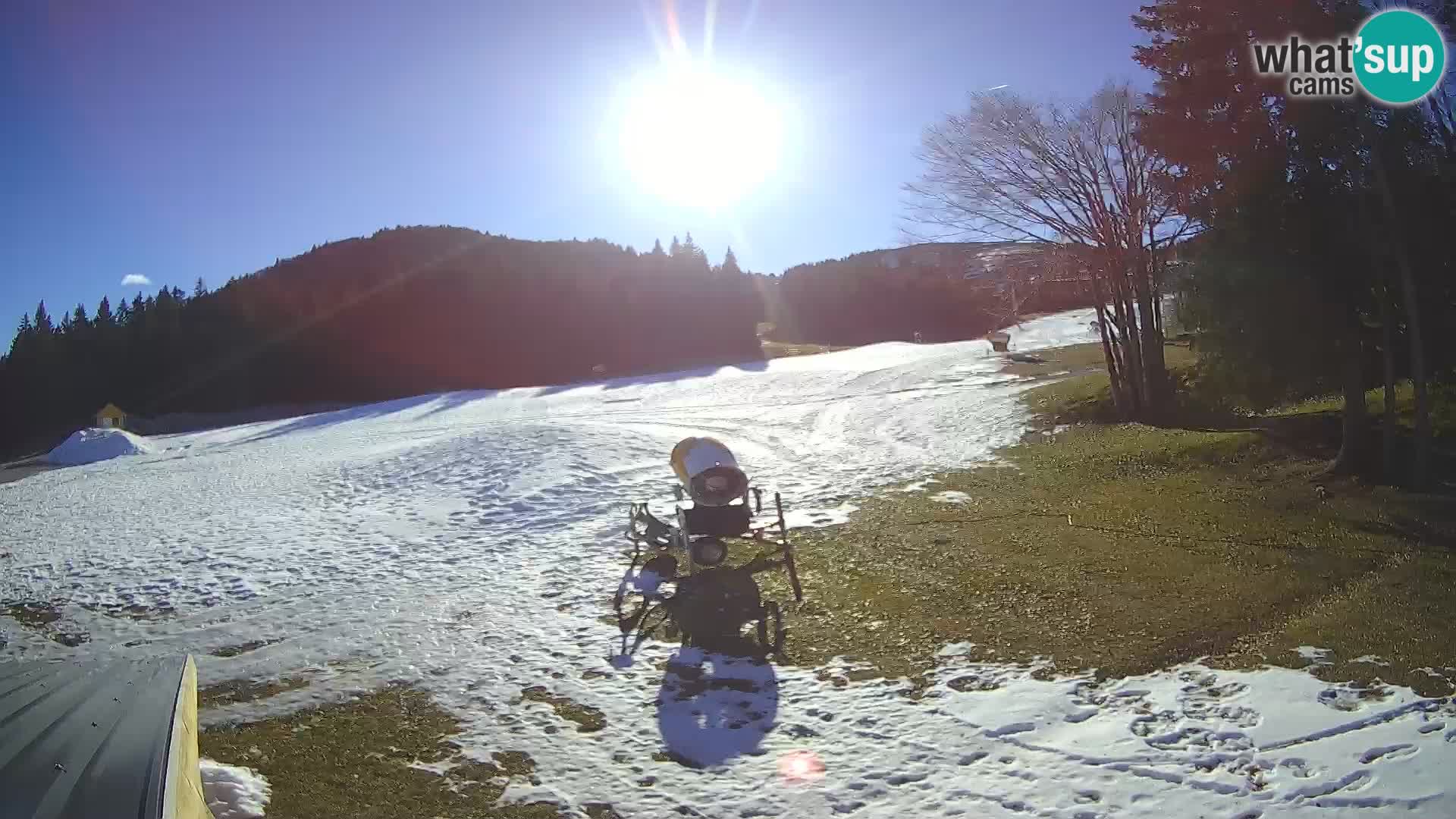 Smučišče Sorica spletna kamera – Sorška planina