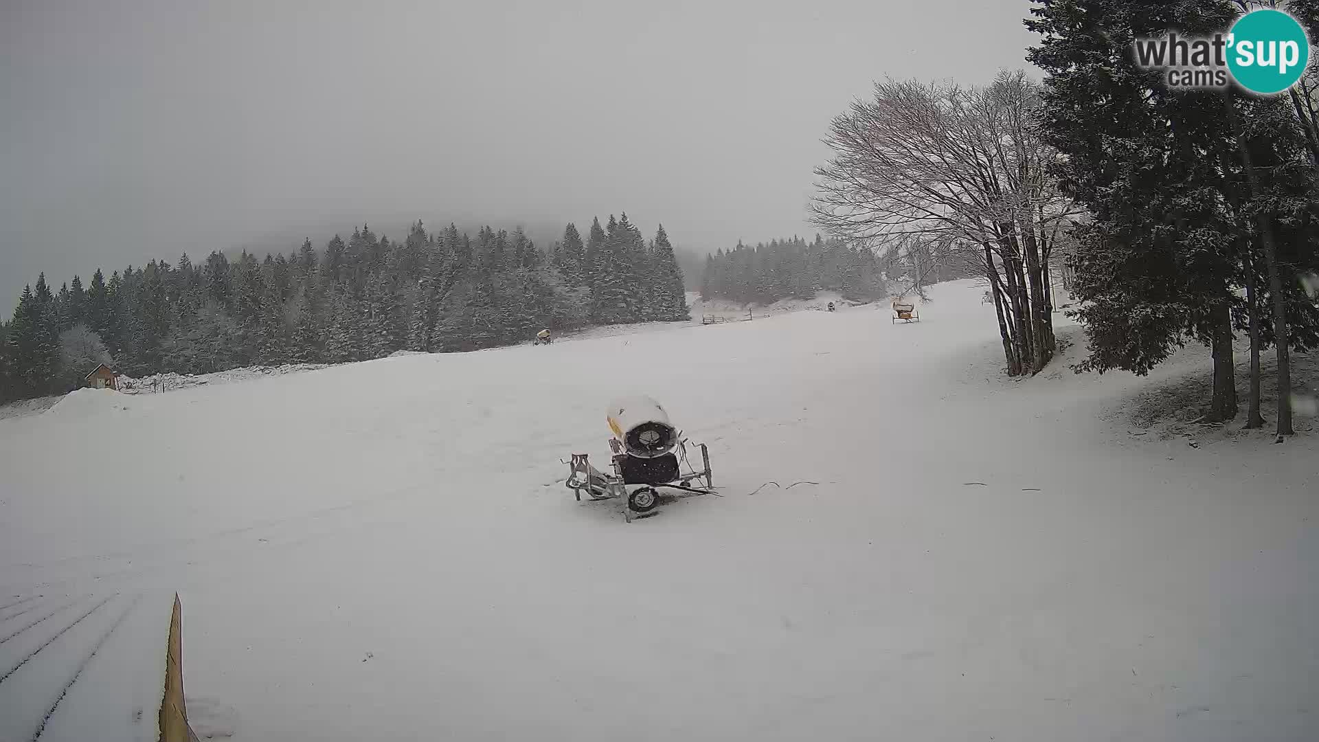 Live Webcam Skigebiet Sorica – Sorška planina – Slowenien