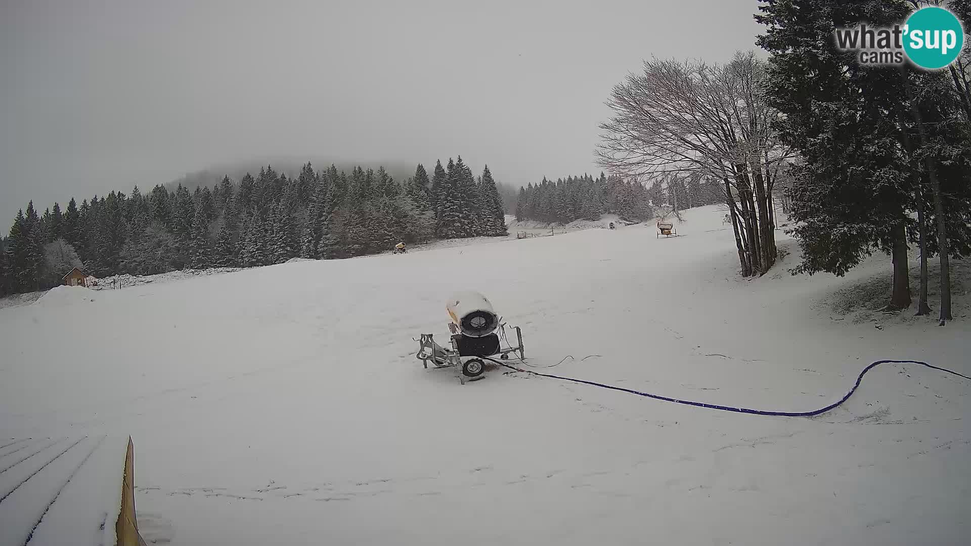 Live Webcam Stazione sciistica di Sorica – Sorška planina – Slovenia