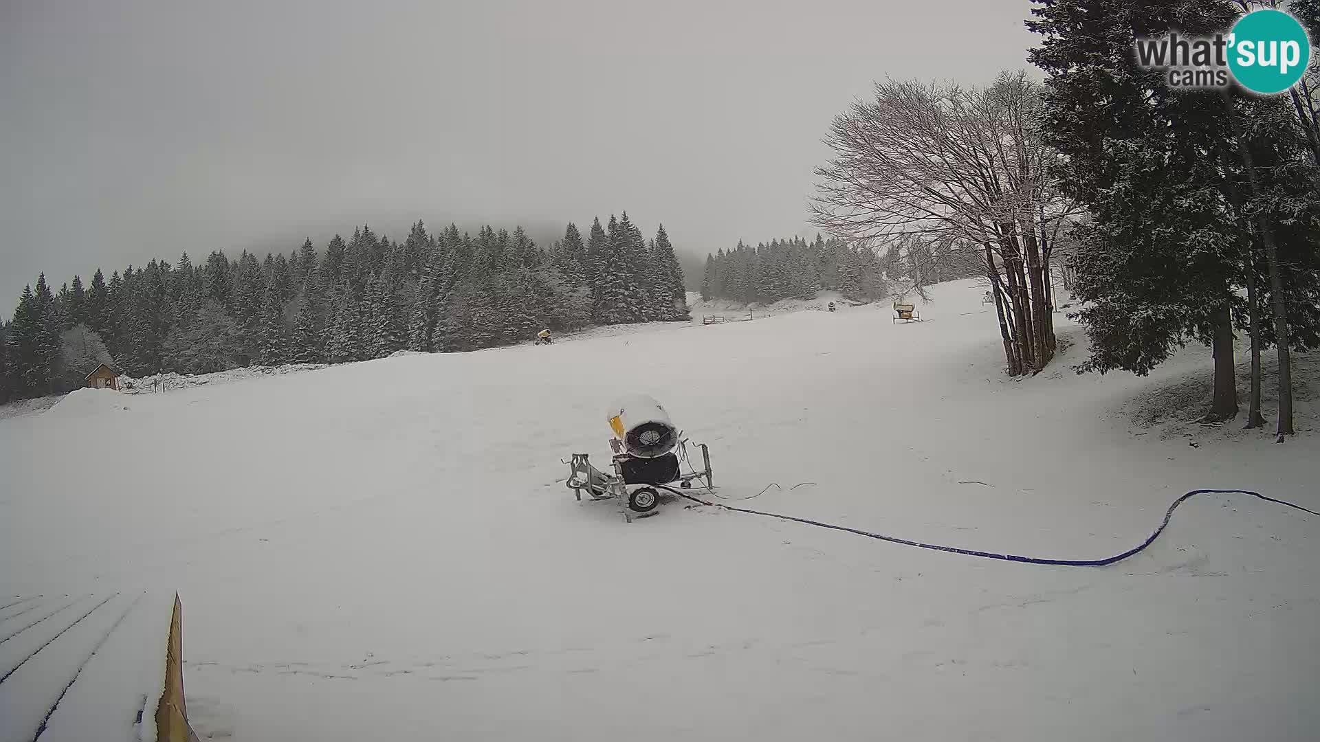 Smučišče Sorica spletna kamera – Sorška planina