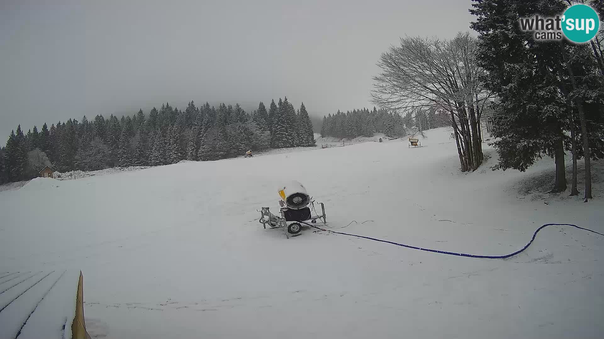 Live Webcam Stazione sciistica di Sorica – Sorška planina – Slovenia