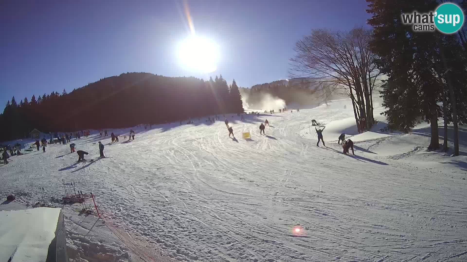 Smučišče Sorica spletna kamera – Sorška planina