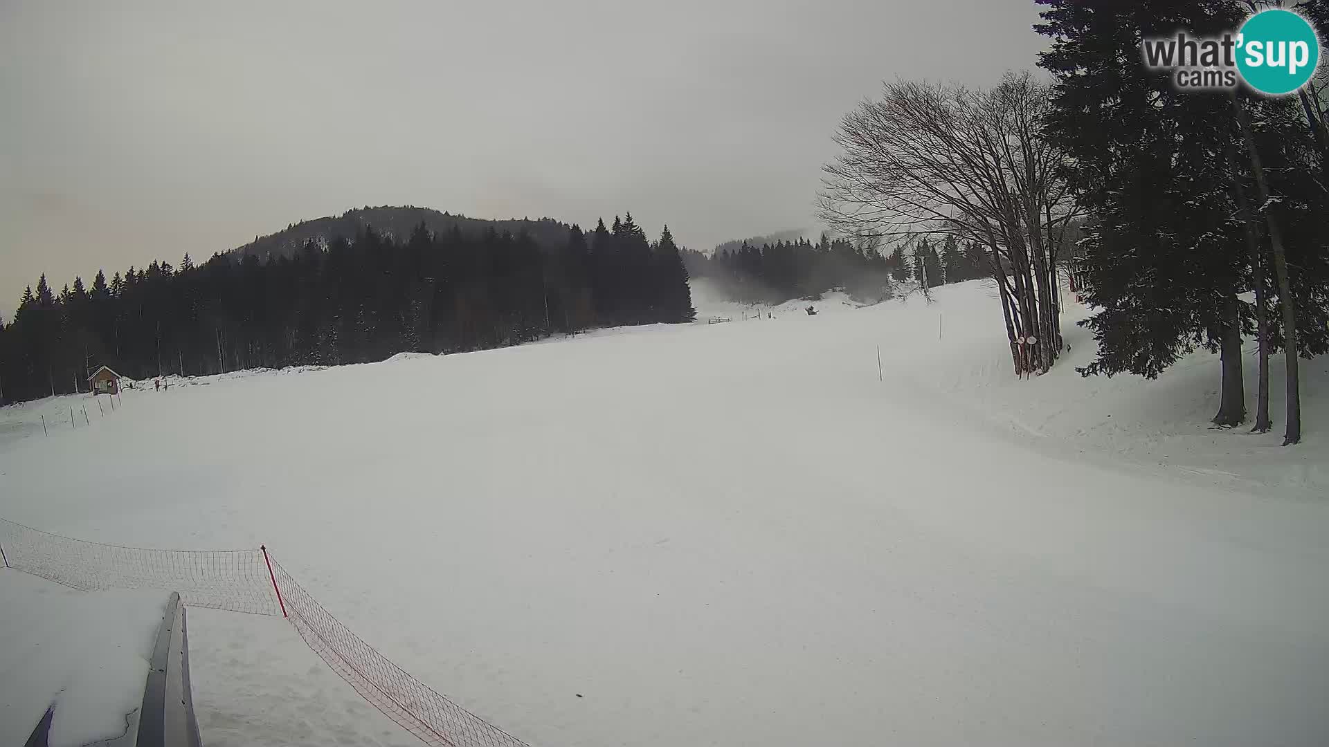 Smučišče Sorica spletna kamera – Sorška planina