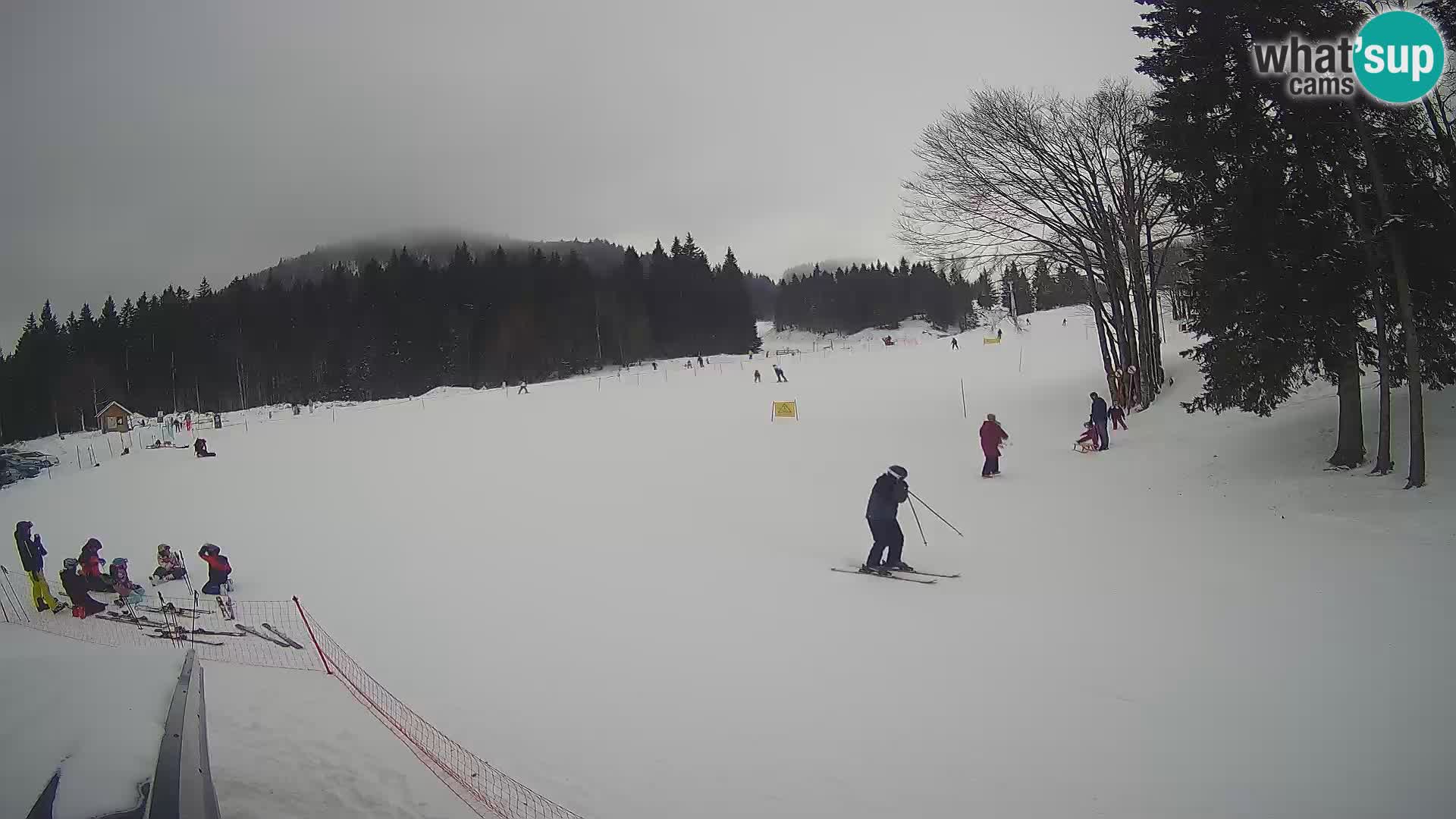 Soriška Planina – Slatnik – Sorica Webcam