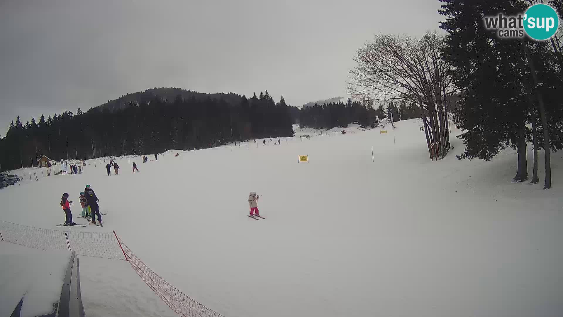 Live Webcam Stazione sciistica di Sorica – Sorška planina – Slovenia