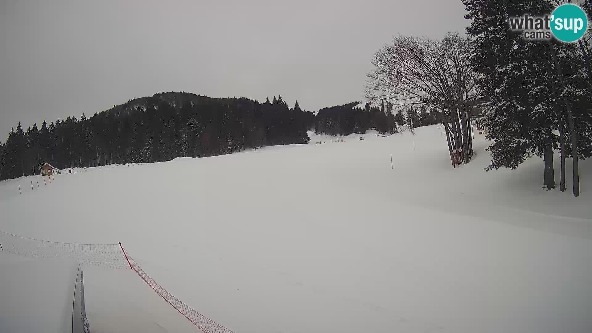 Soriška Planina – Slatnik