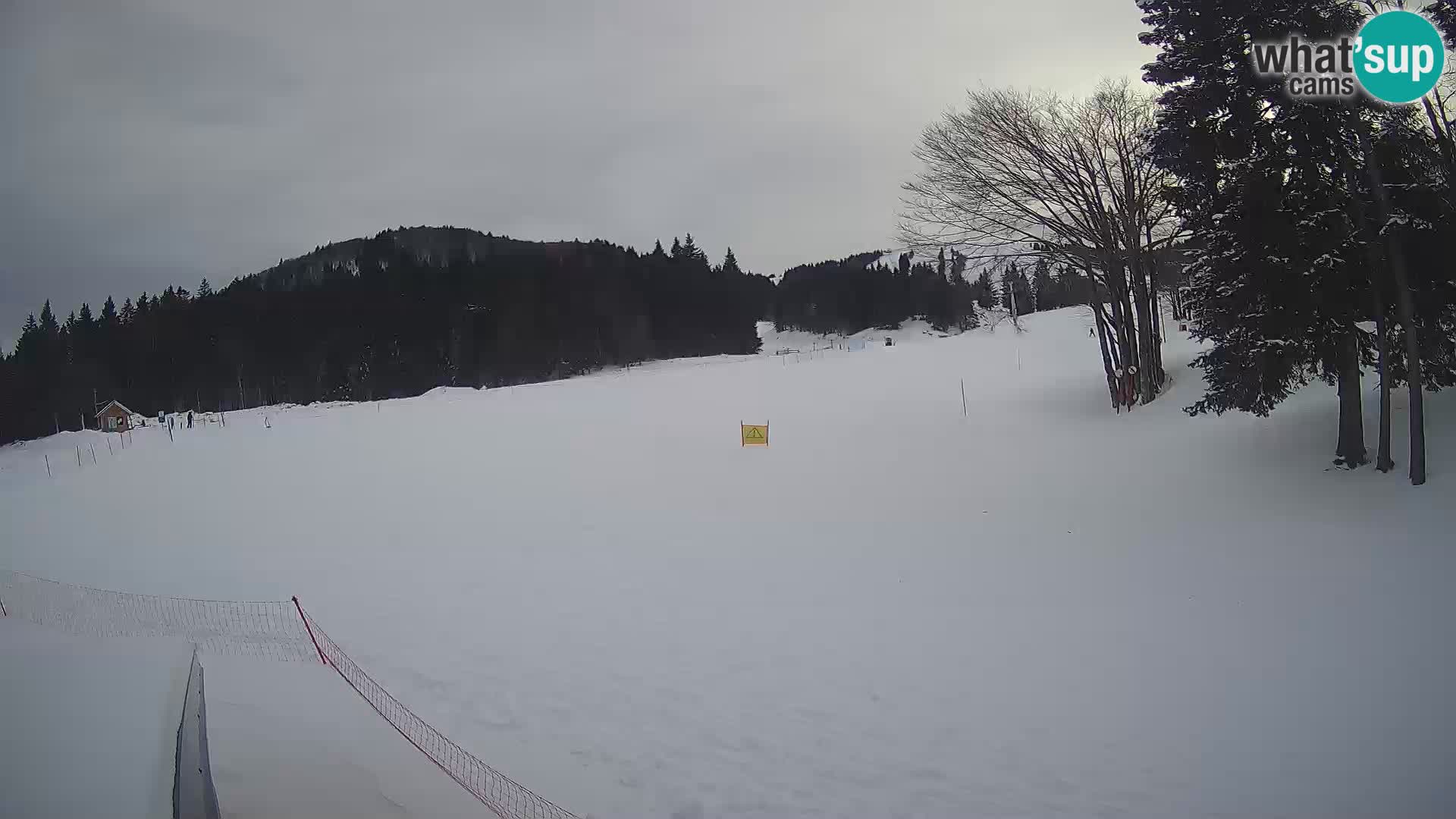 Smučišče Sorica spletna kamera – Sorška planina