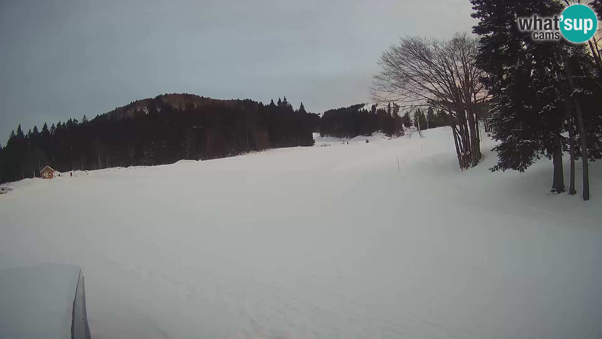 Soriška Planina – Slatnik