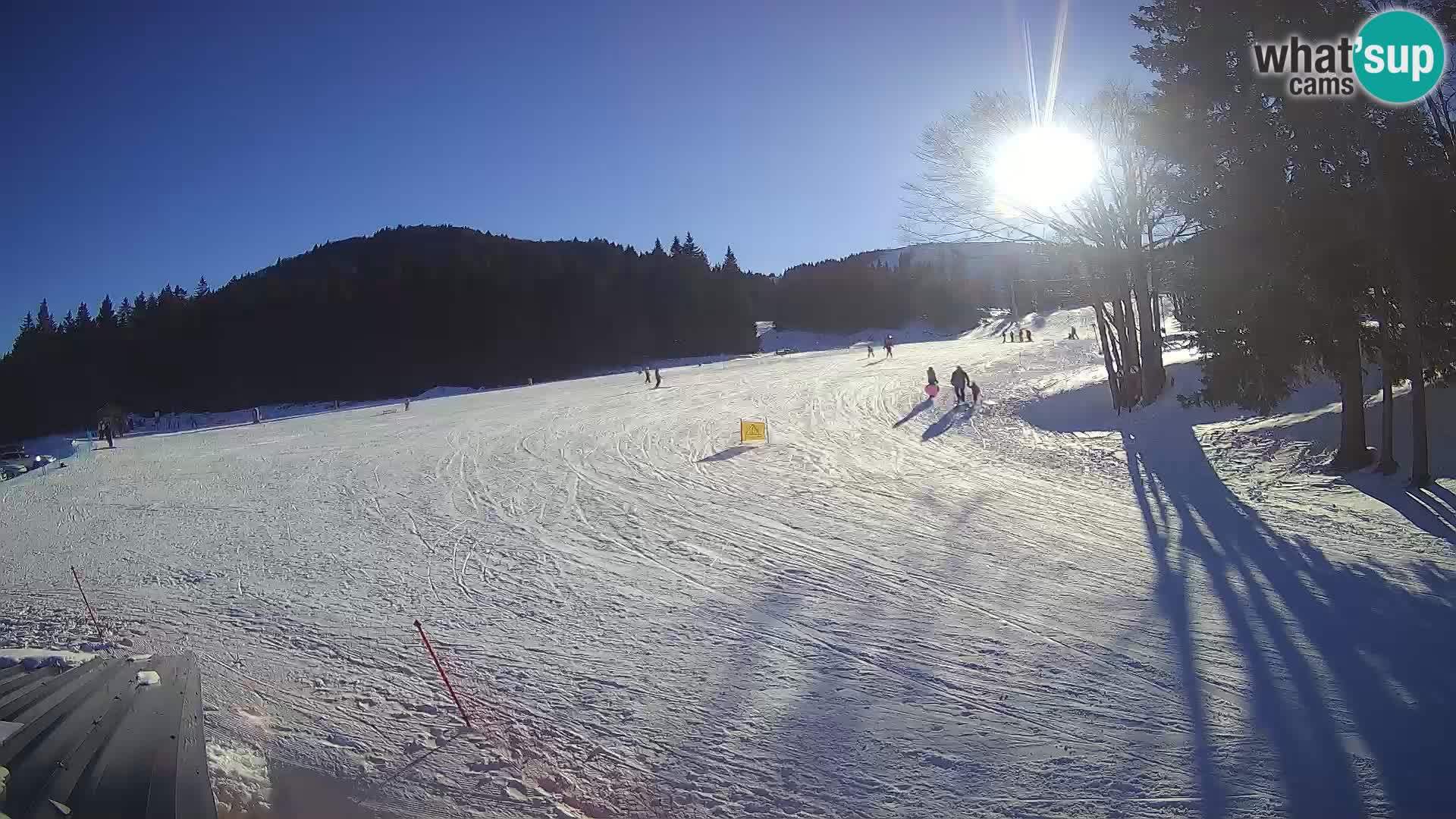 Soriška Planina – Slatnik – Sorica en vivo