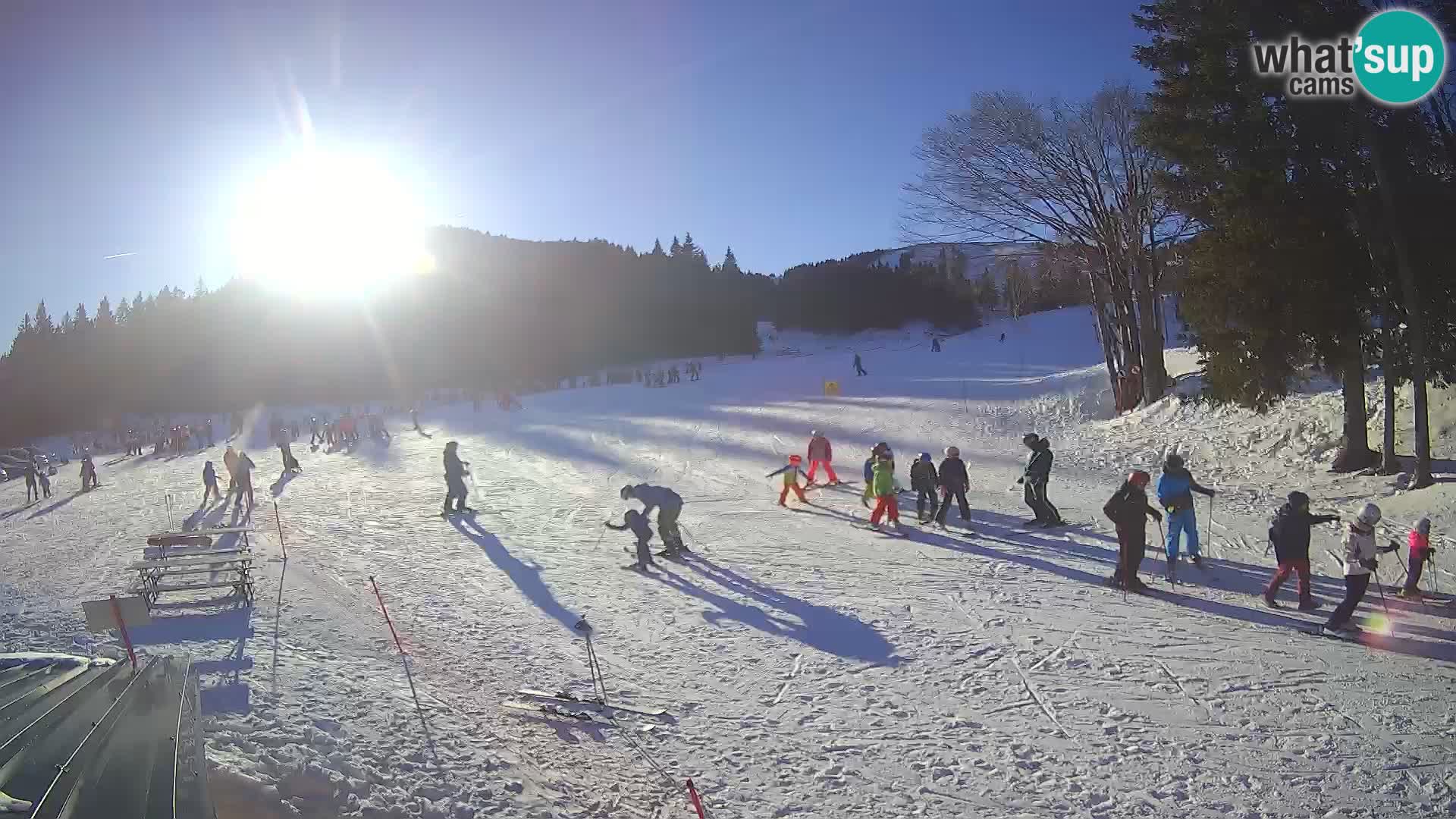 Soriška Planina – Slatnik – Sorica Webcam