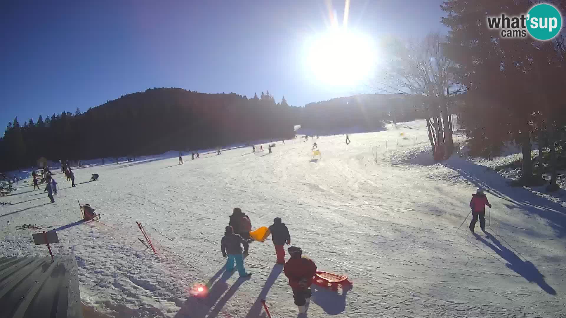 Soriška Planina – Slatnik – Sorica en vivo