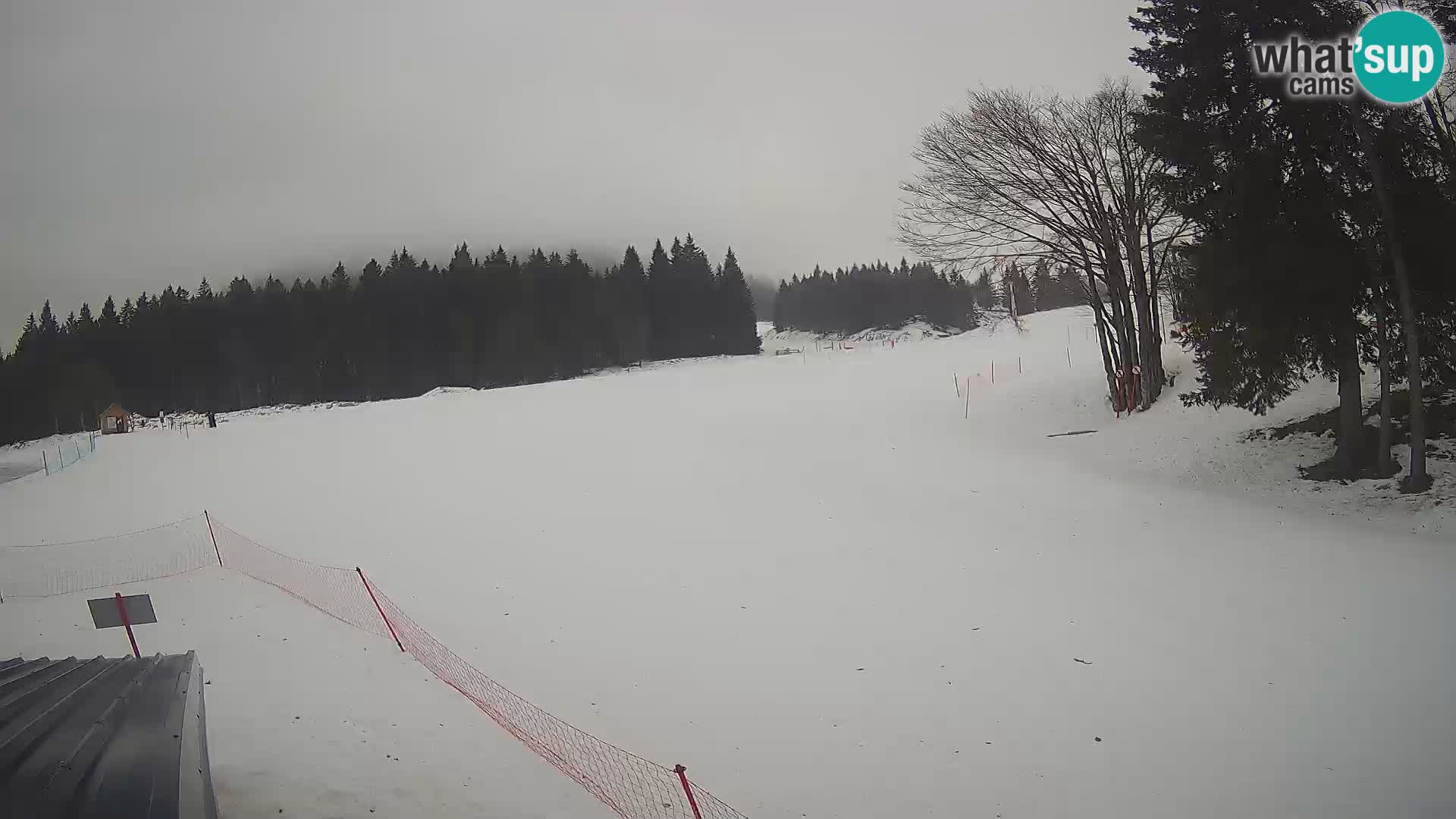 Webcam en vivo Estación de esquí de Sorica – Sorška planina – Eslovenia