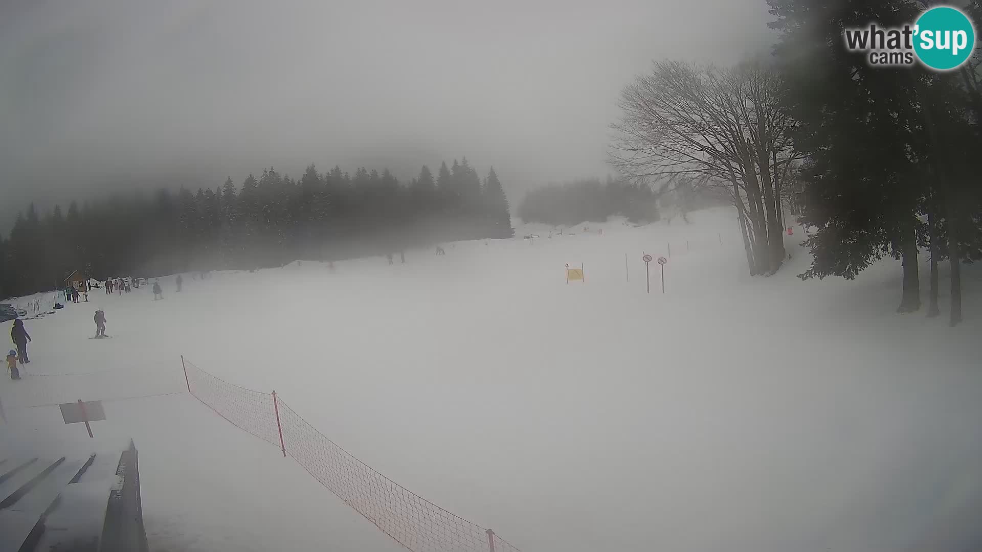 Soriška Planina – Slatnik – Sorica en vivo