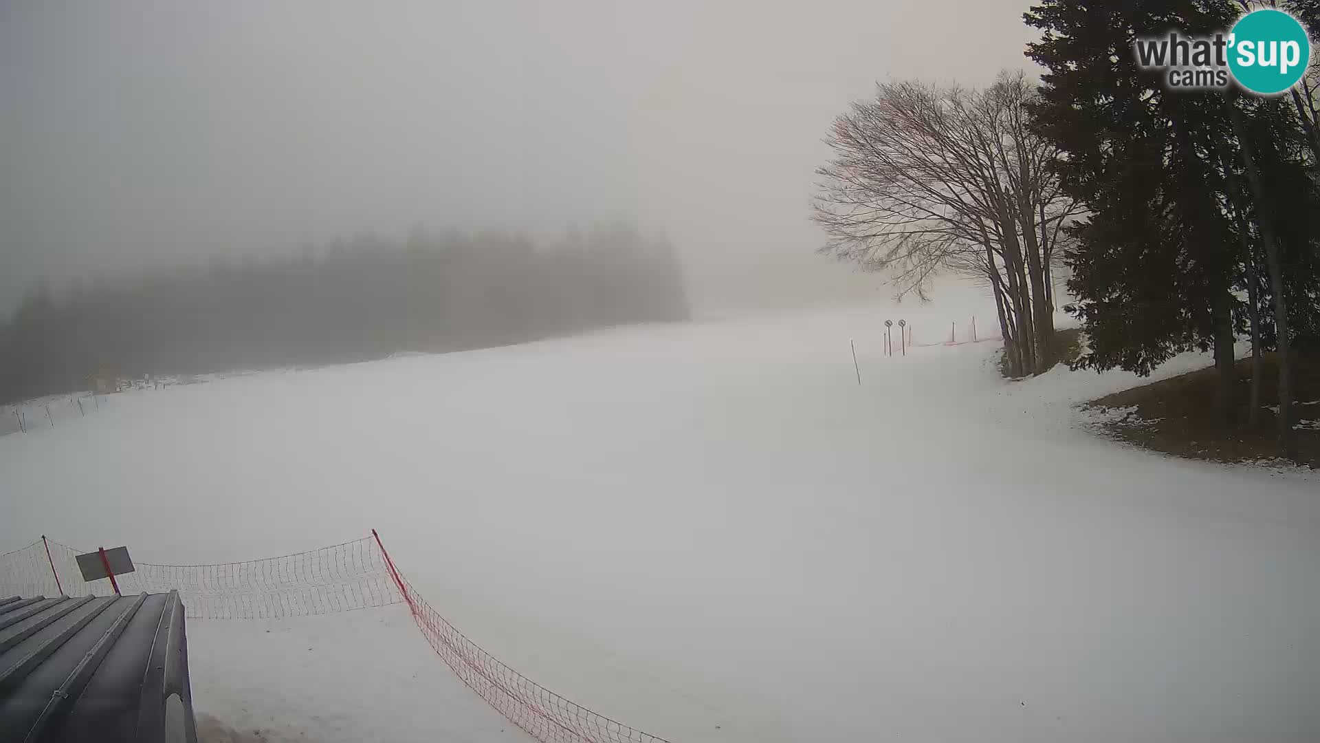 Soriška Planina – Slatnik – Sorica en vivo