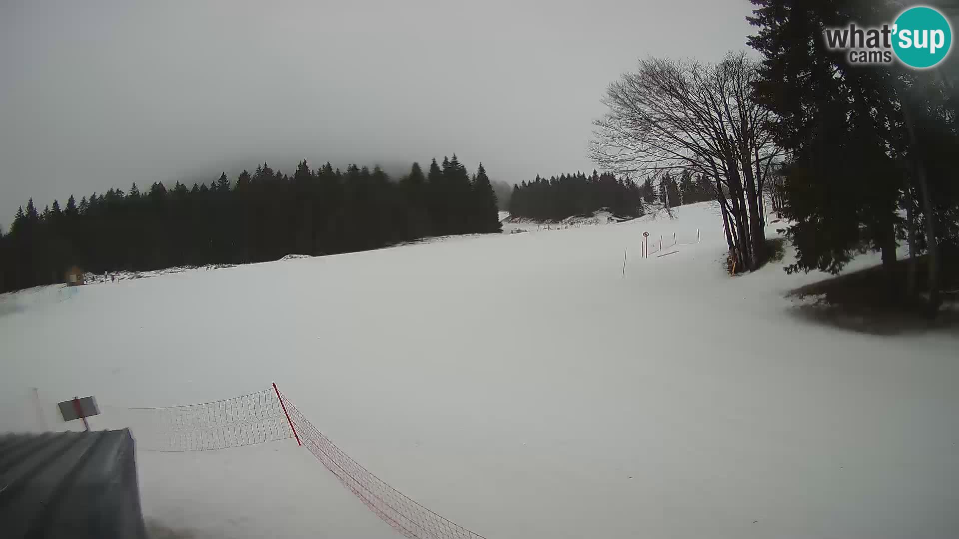 Smučišče Sorica spletna kamera – Sorška planina