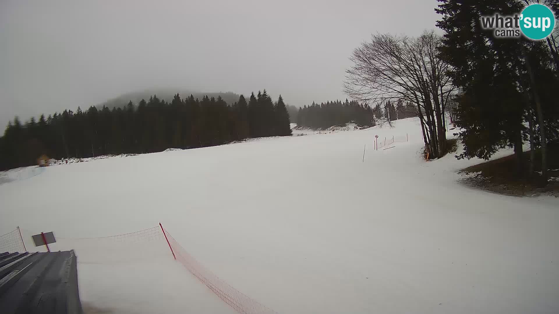 Soriška Planina – Slatnik – Sorica en vivo